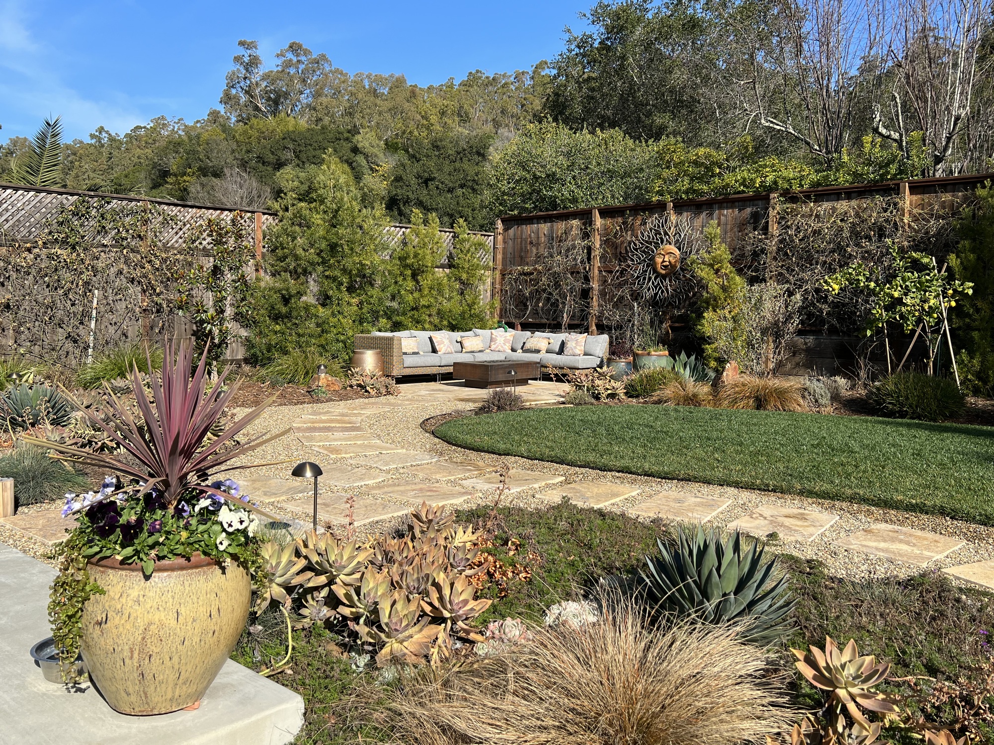 A Social Worker’s Floral Wonderland in San Rafael, CA - Photo 6