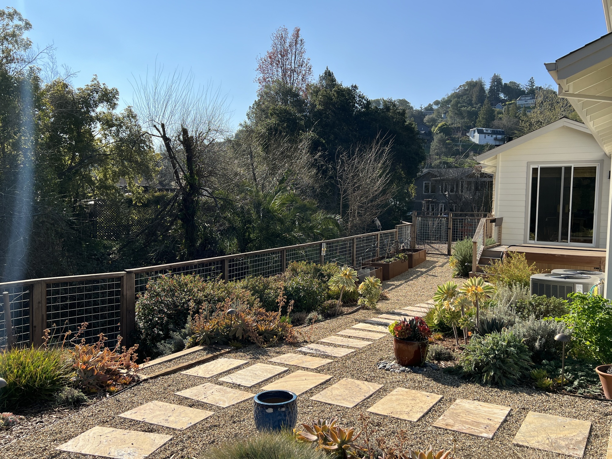 A Social Worker’s Floral Wonderland in San Rafael, CA - Photo 7