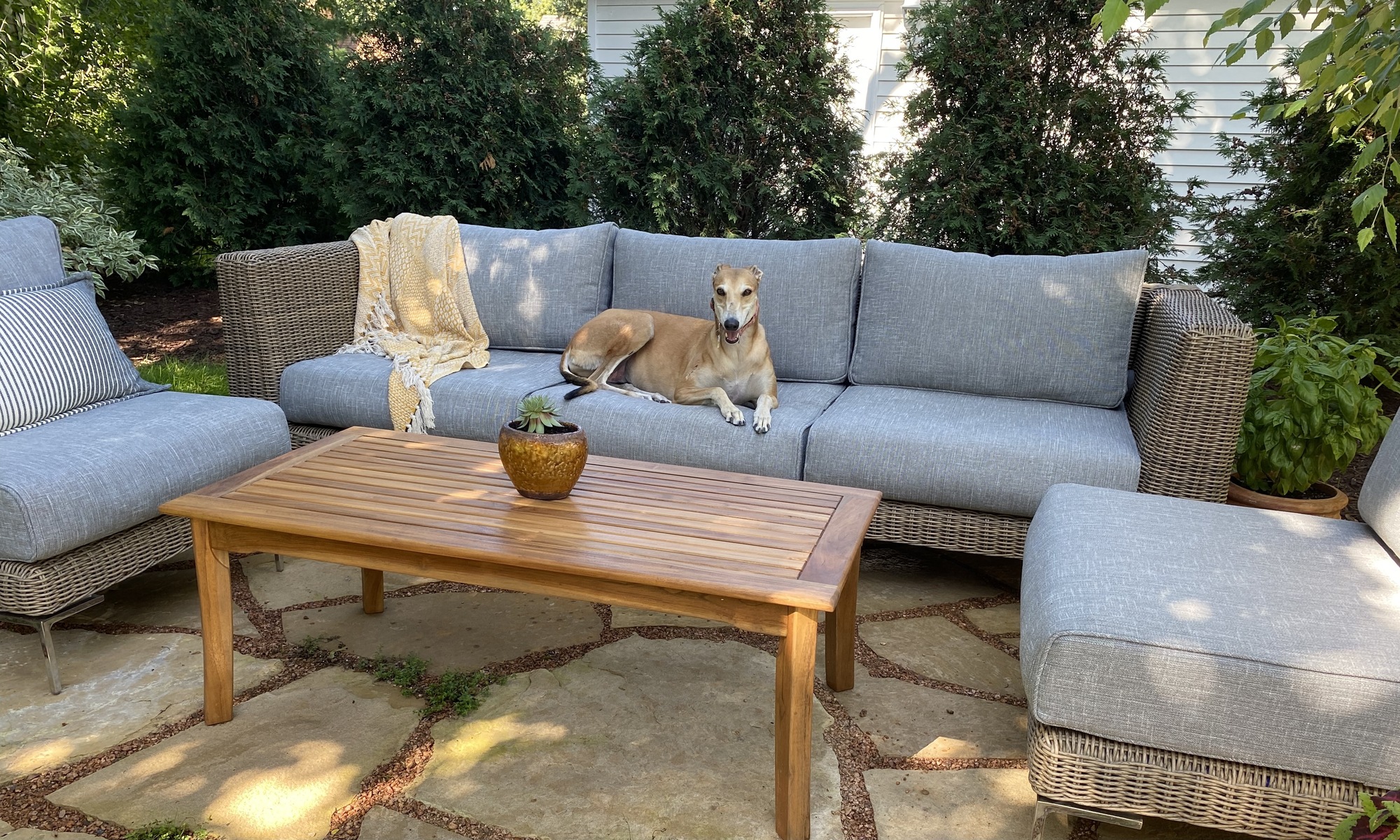 An Organizer’s Family-Friendly Flagstone Patio - Photo 6