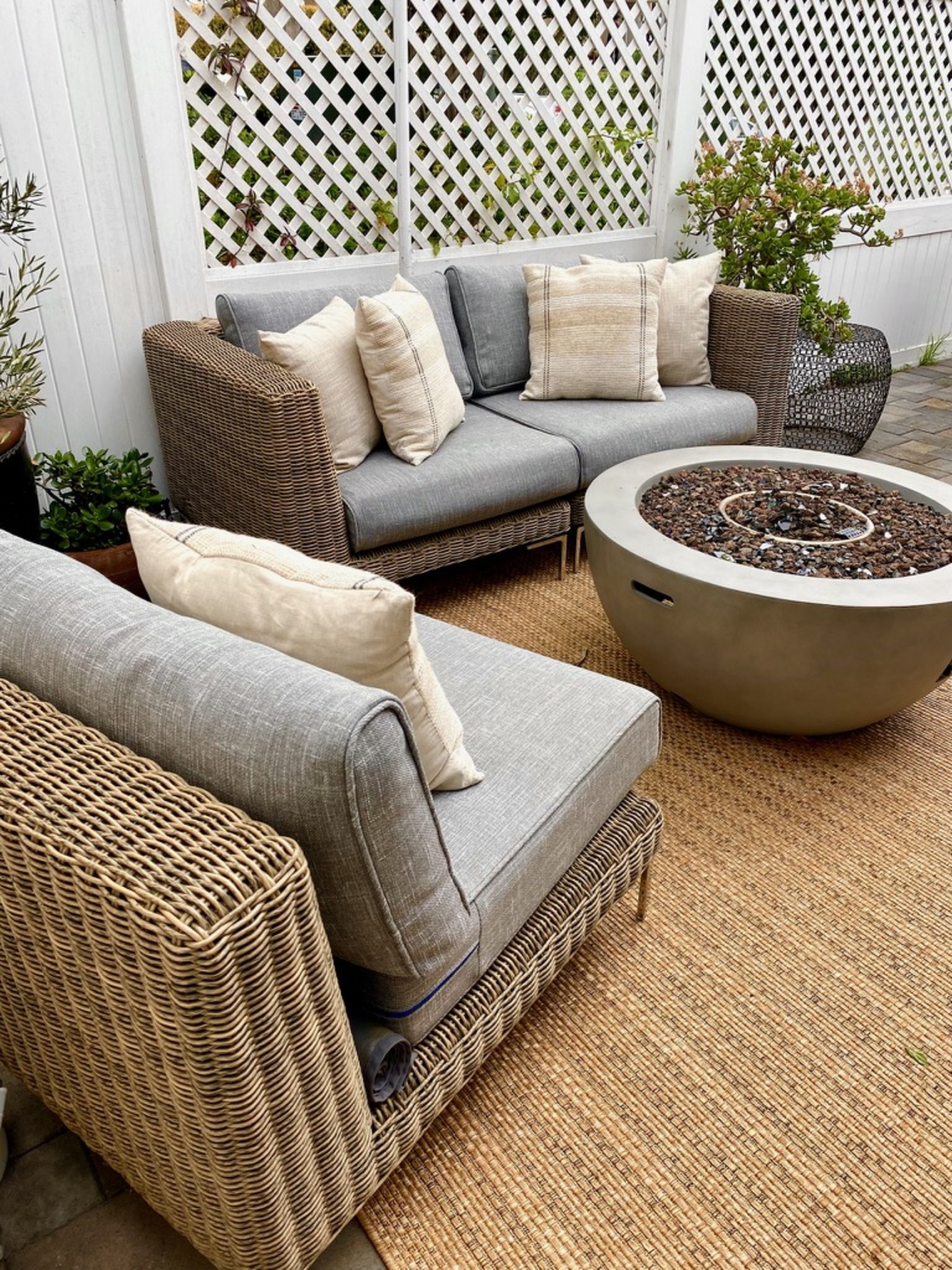 A Lush Haven in a Busy City - Photo 3