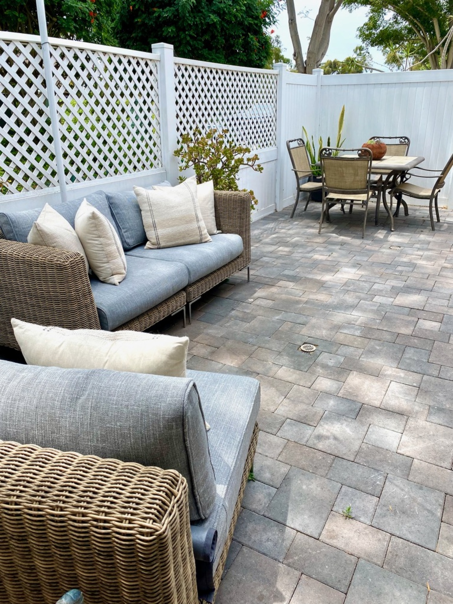 A Lush Haven in a Busy City - Photo 4