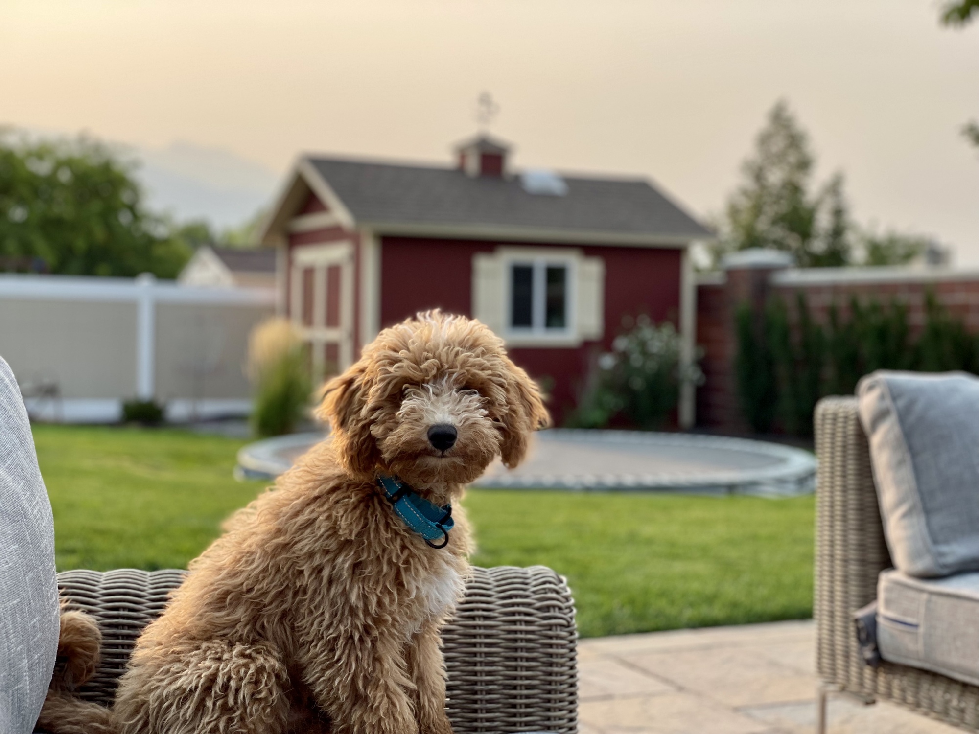 A Backyard Made for Play - Photo 6