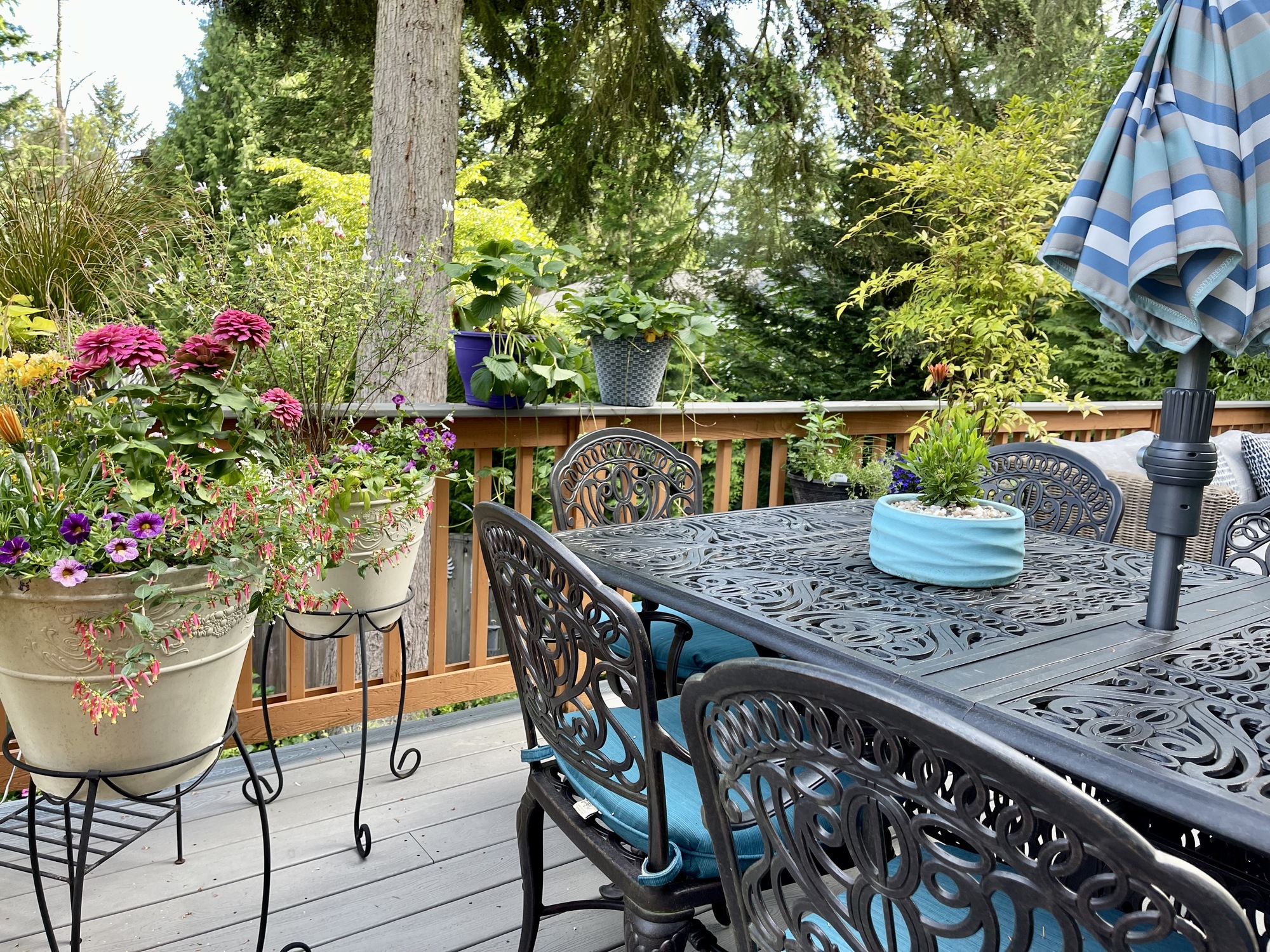 Inviting Upper Deck Among the Trees in Washington - Photo 9