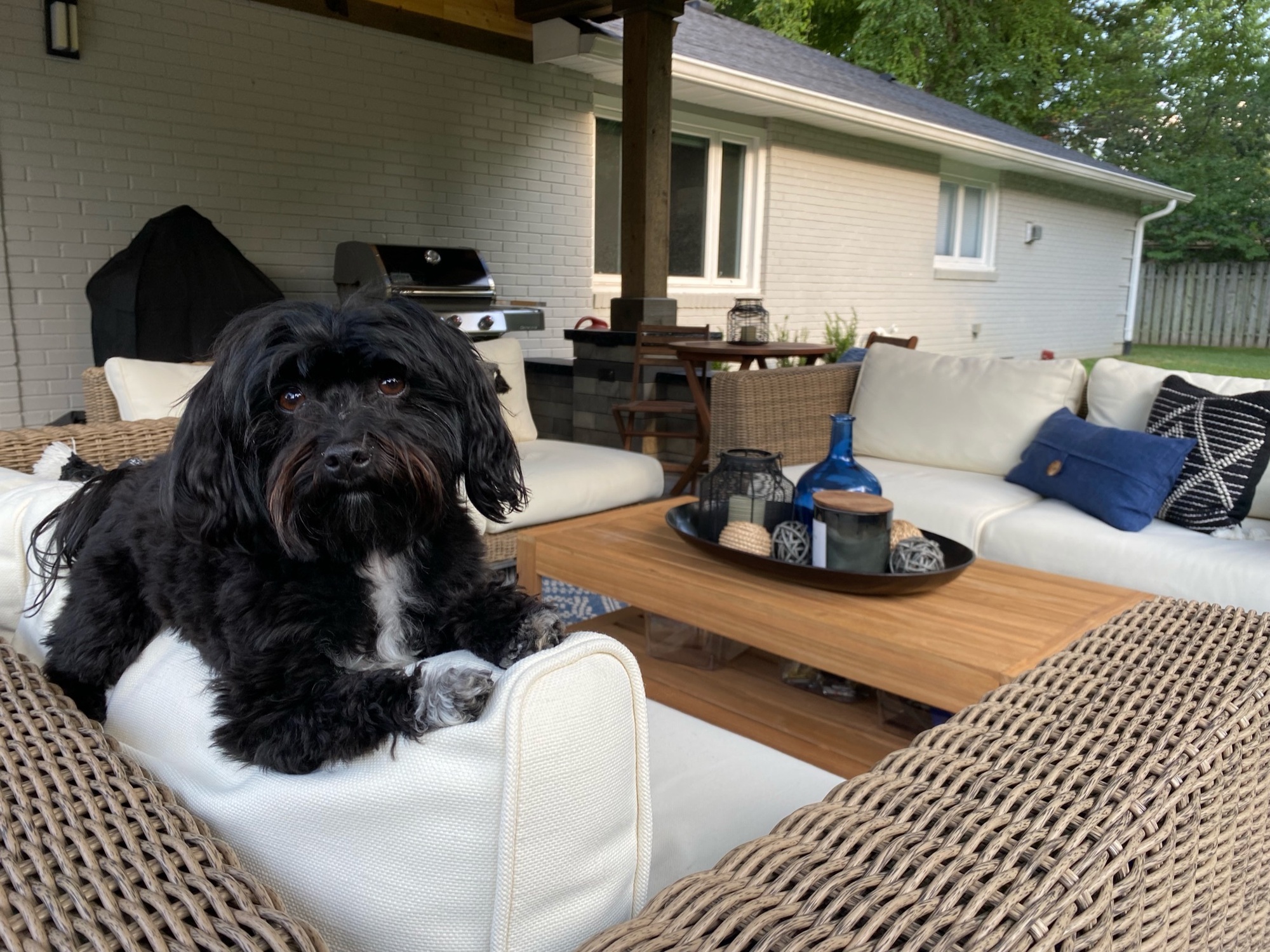 An Inviting Mid-Century Modern Patio in the Midwest - Photo 6