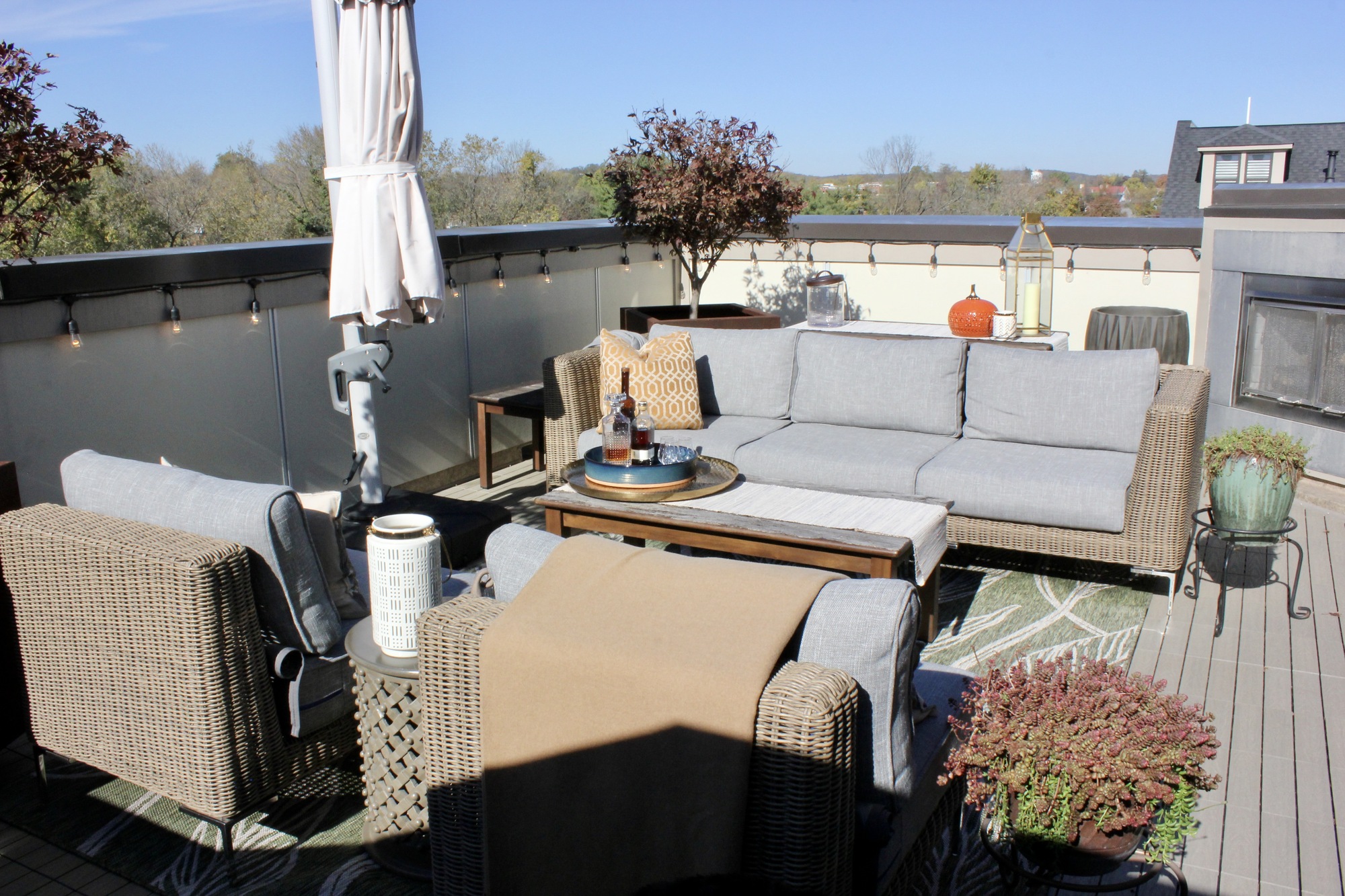 Empty Nesters’ Rooftop Patio Overlooking the Park - Photo 2