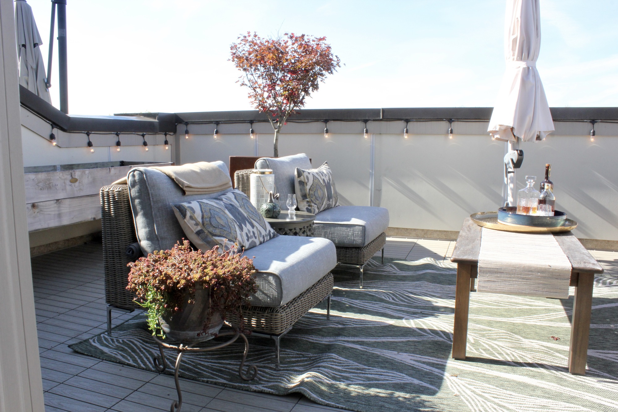 Empty Nesters’ Rooftop Patio Overlooking the Park - Photo 3