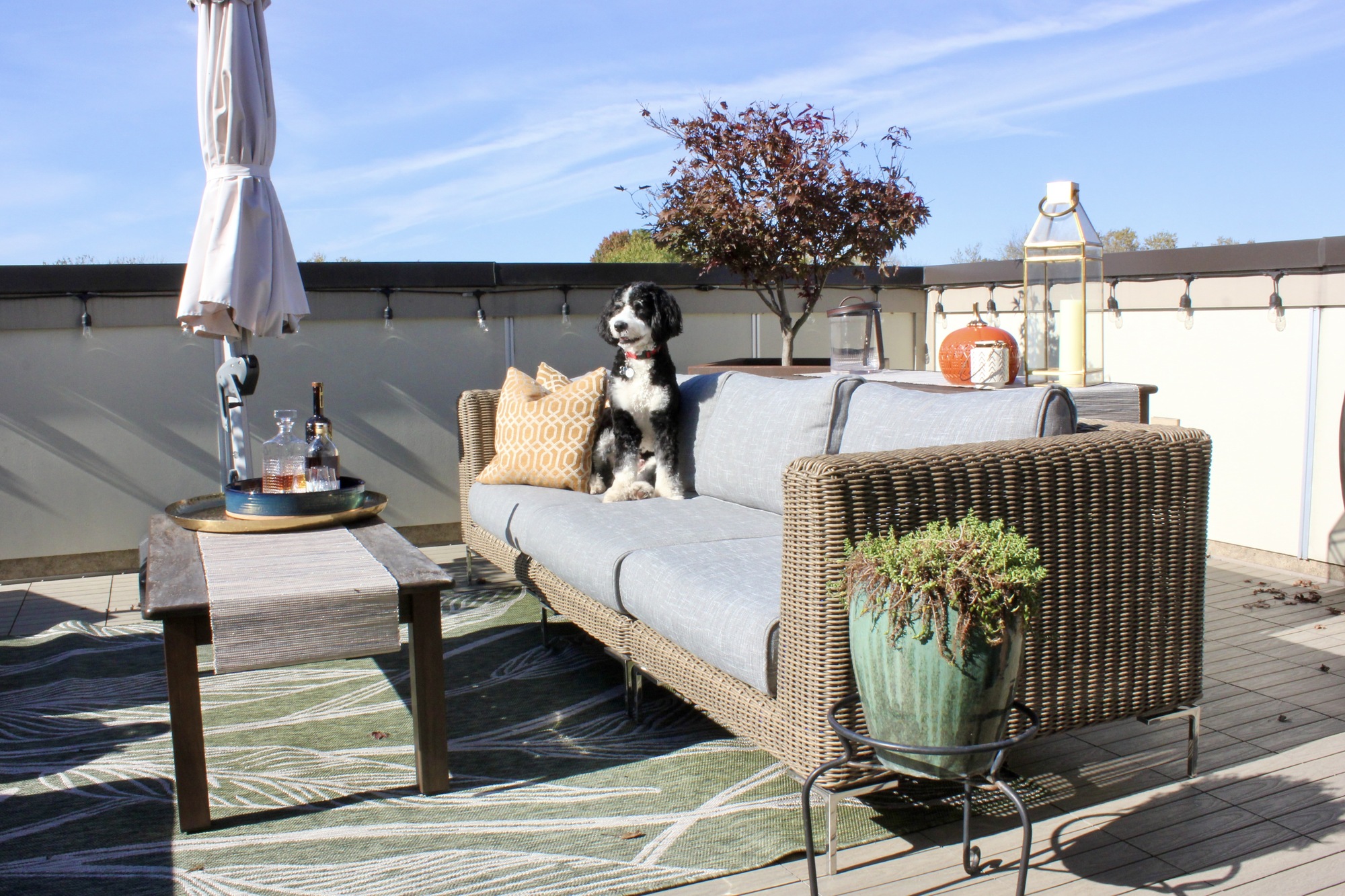 Empty Nesters’ Rooftop Patio Overlooking the Park - Photo 4