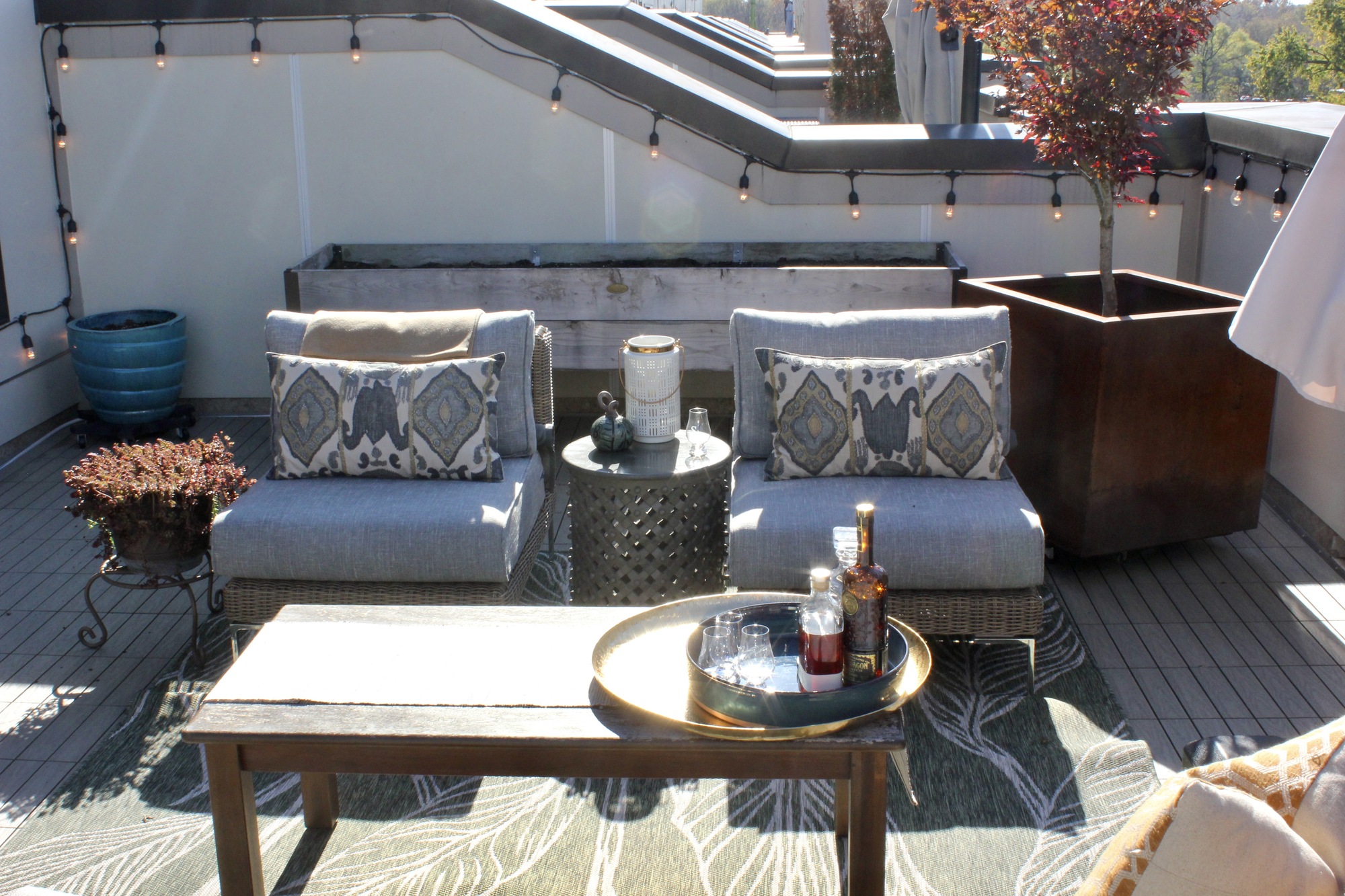 Empty Nesters’ Rooftop Patio Overlooking the Park - Photo 5
