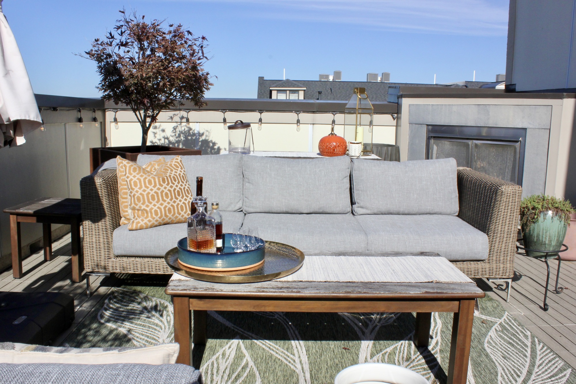 Empty Nesters’ Rooftop Patio Overlooking the Park - Photo 6
