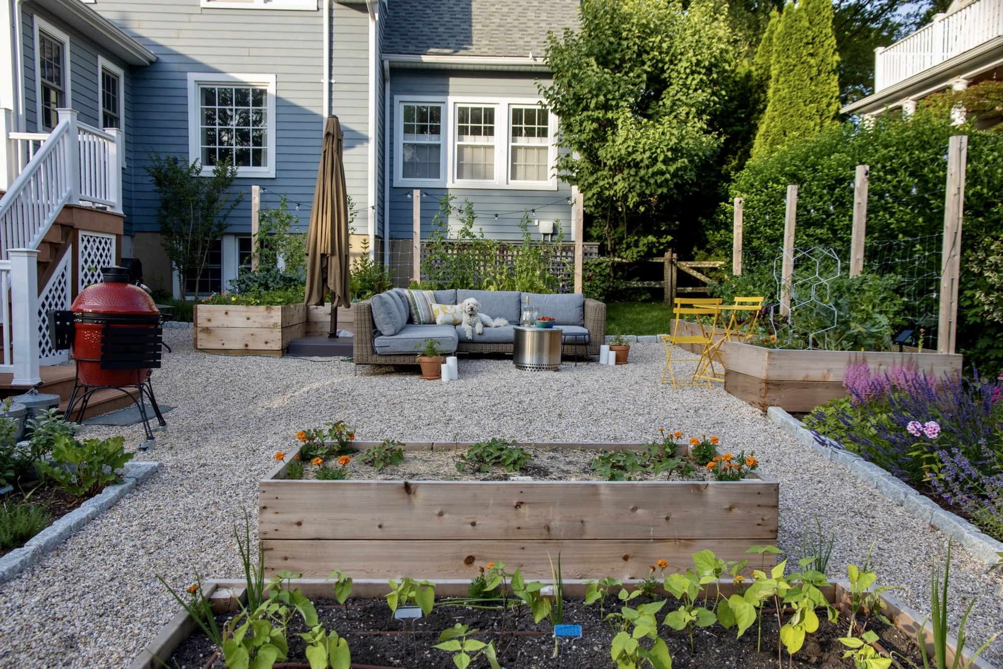 A Nutritionist’s Lush Garden and Backyard - Photo 2