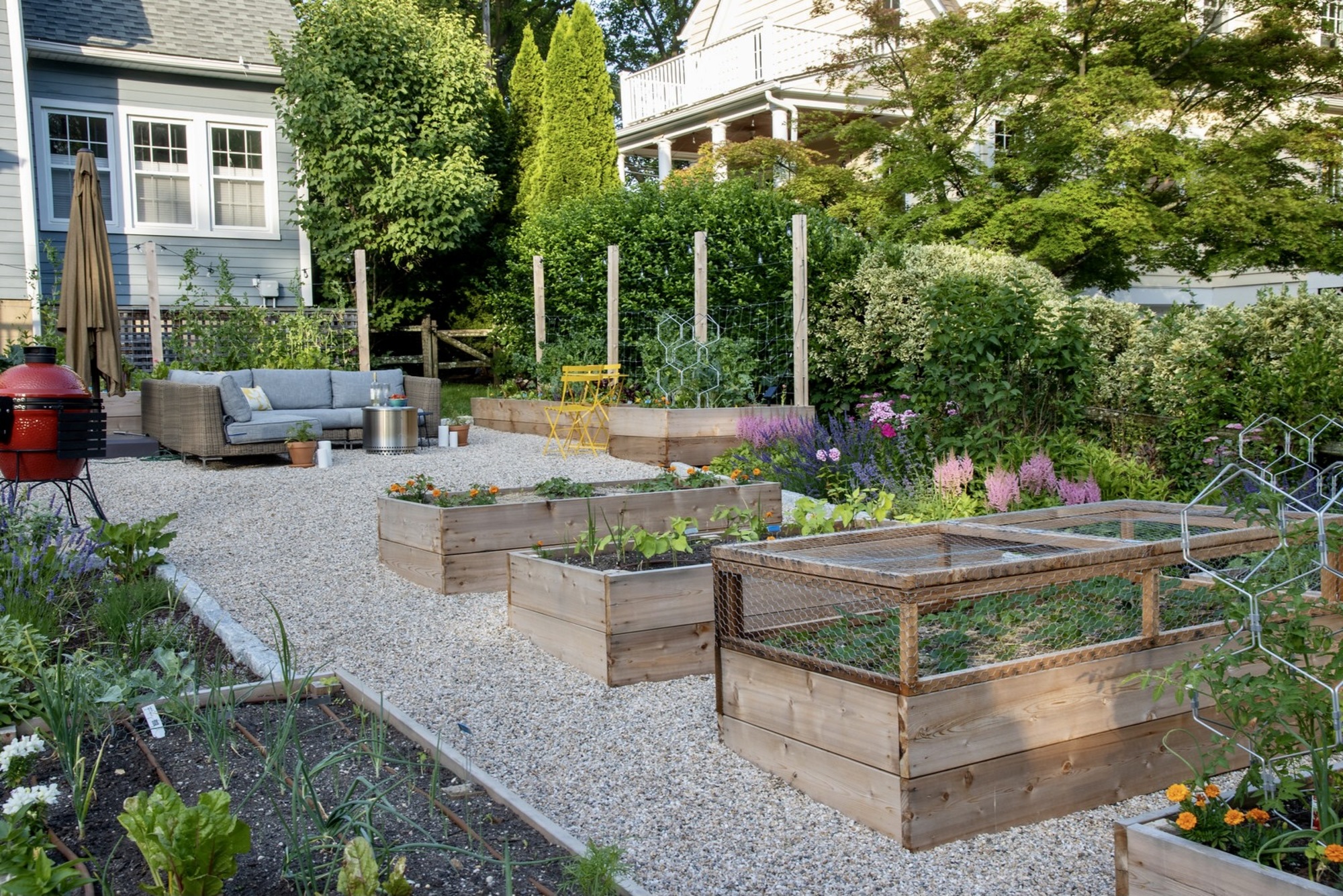A Nutritionist’s Lush Garden and Backyard - Photo 4