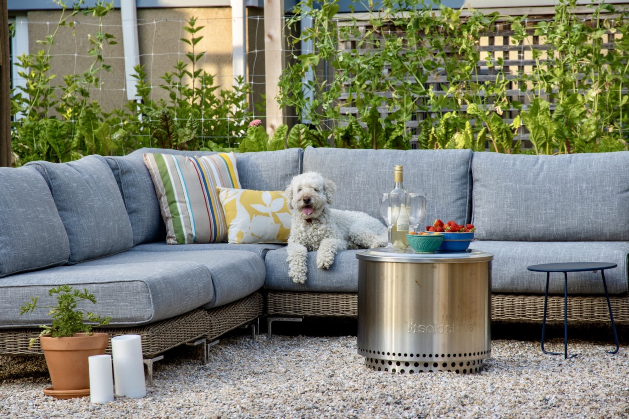 A Nutritionist’s Lush Garden and Backyard - Photo 5