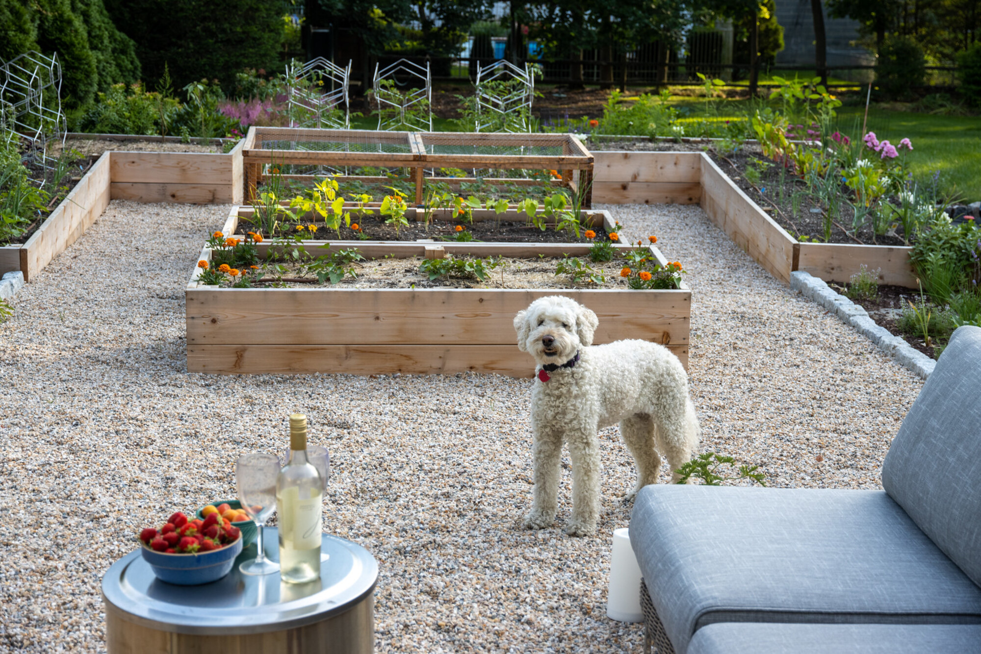 A Nutritionist’s Lush Garden and Backyard - Photo 9