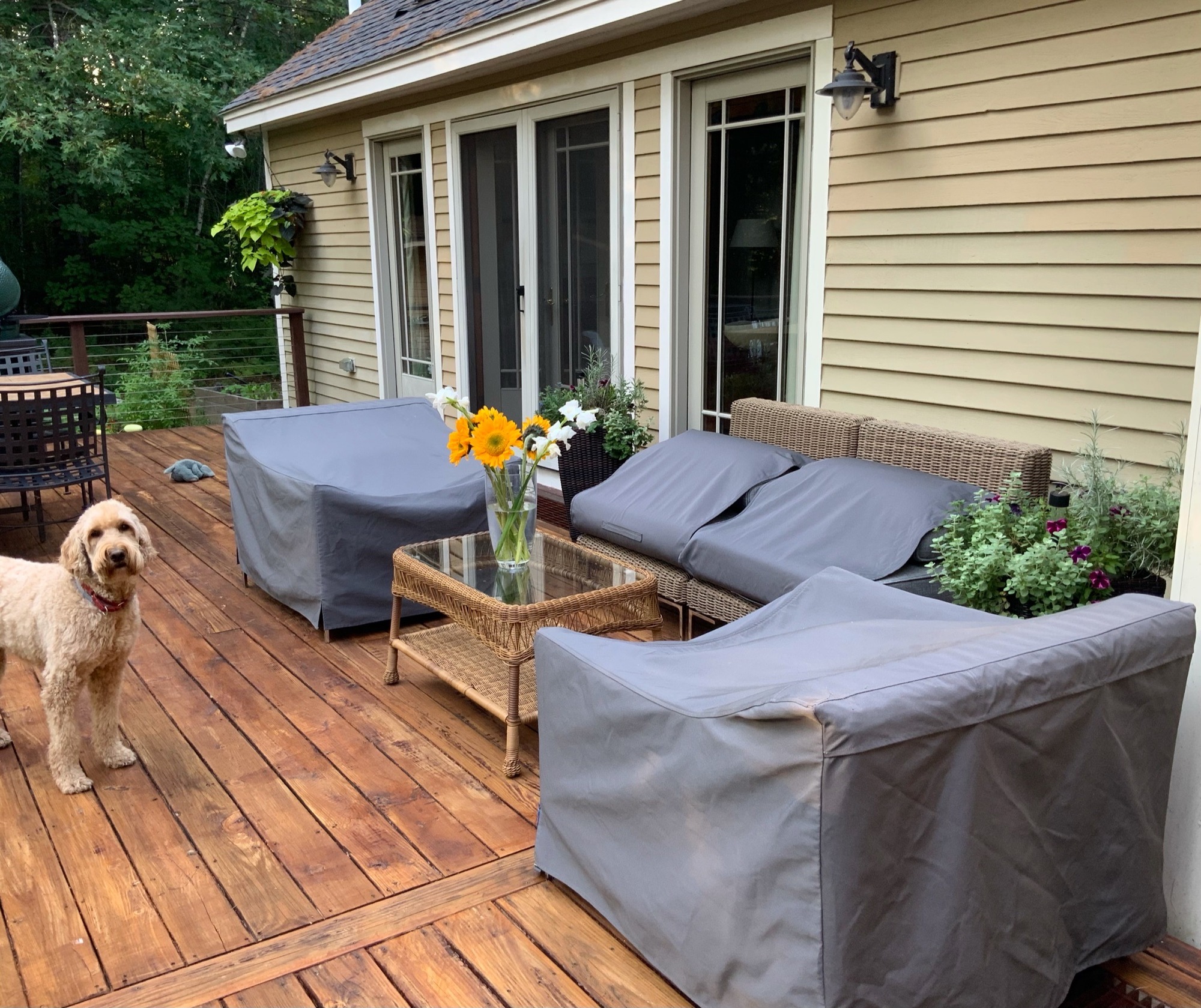 Cold Weather Coziness in New Hampshire - Photo 8