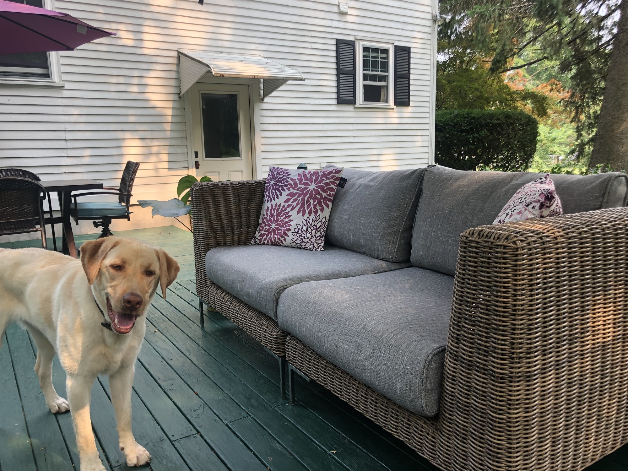 A Private, Wildlife-Friendly Garden and Deck - Photo 2