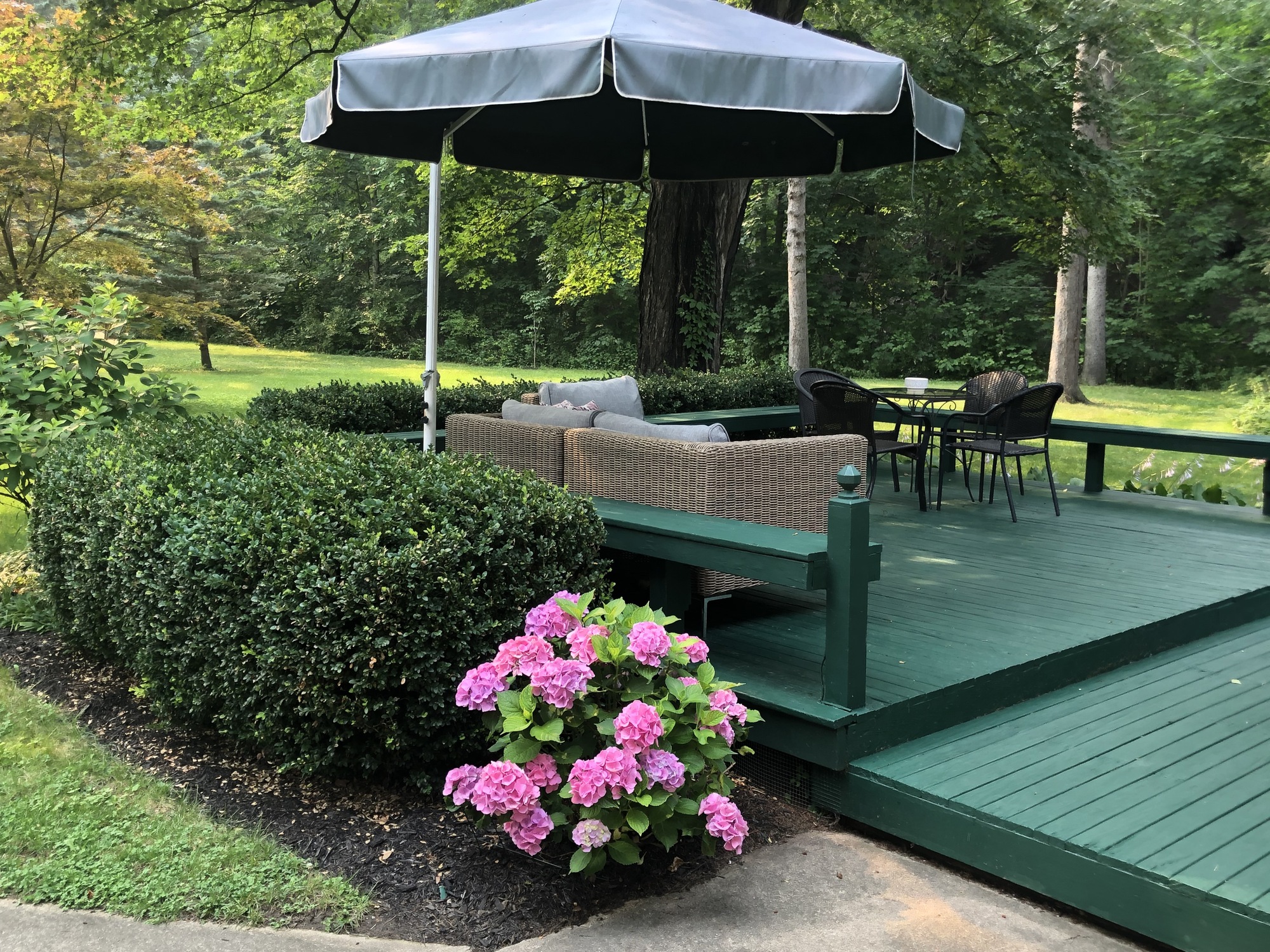 A Private, Wildlife-Friendly Garden and Deck - Photo 6