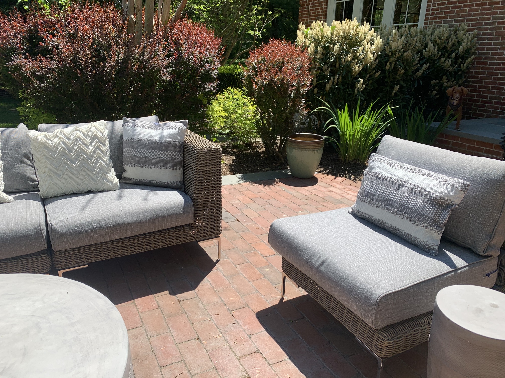 Lush Poolside Backyard with Koi Pond - Photo 2