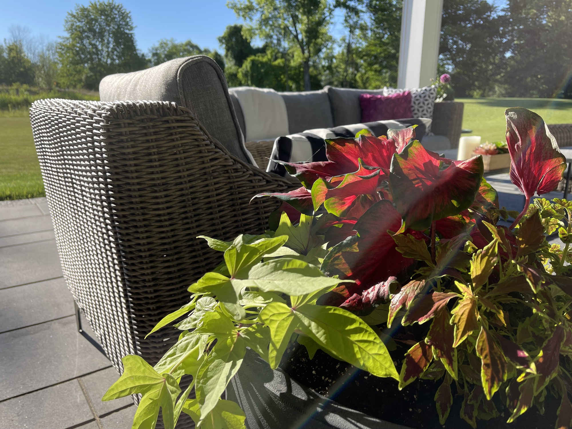 Wooded Hideaway in Upstate New York  - Photo 10