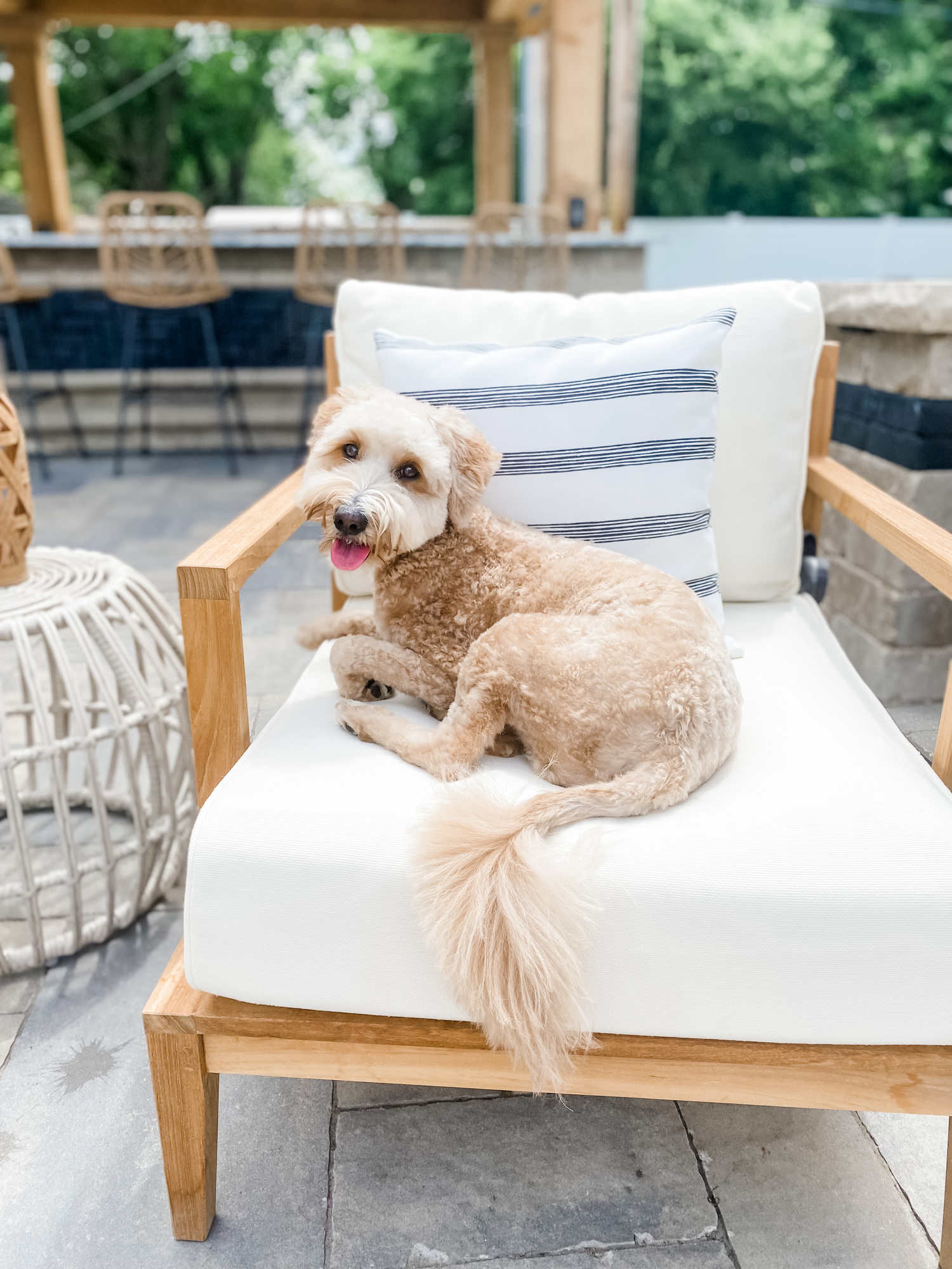 A Social Family’s Rustic Stone Patio in Illinois - Photo 6
