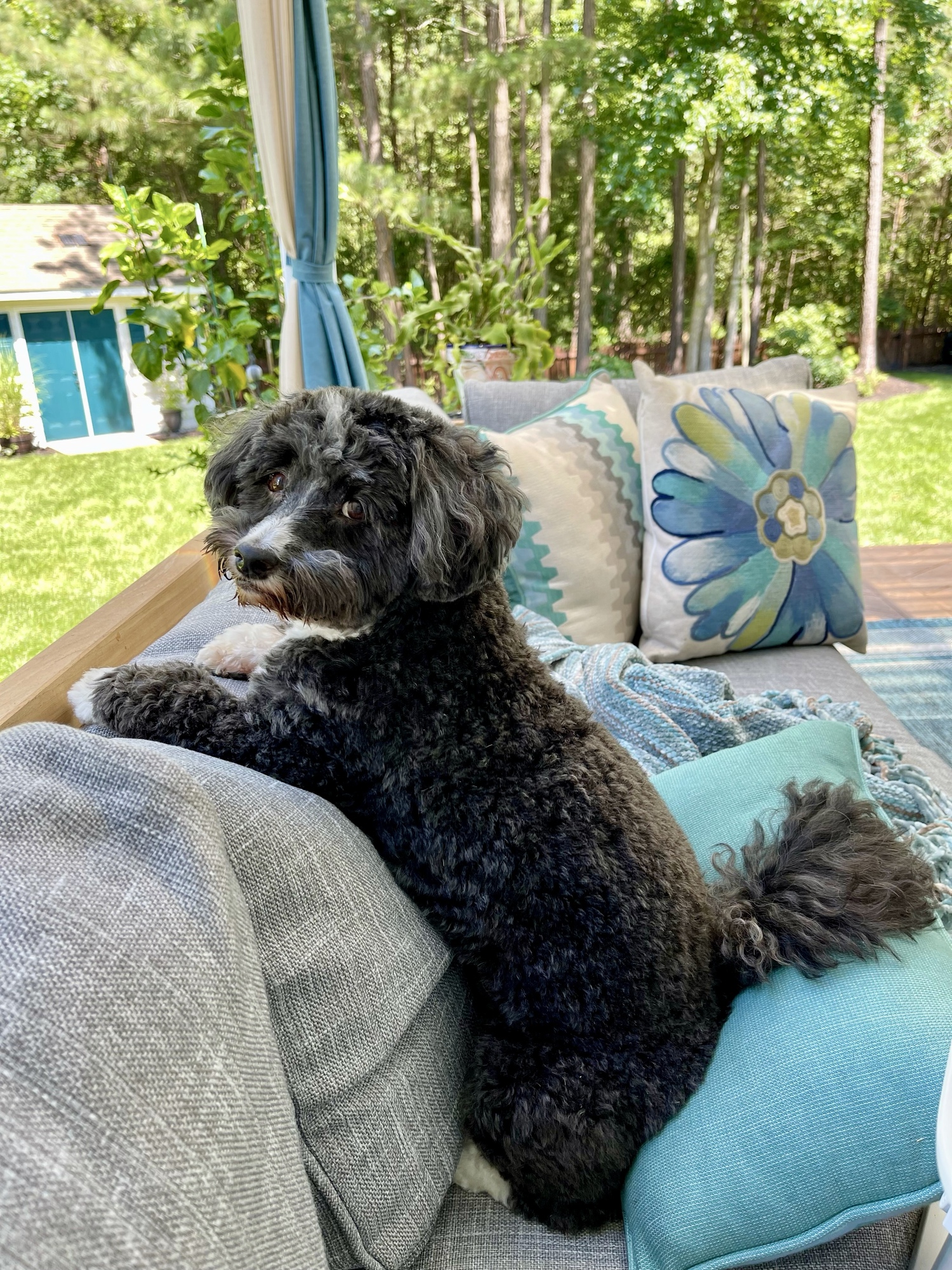 Traditional Backyard in Virginia - Photo 5