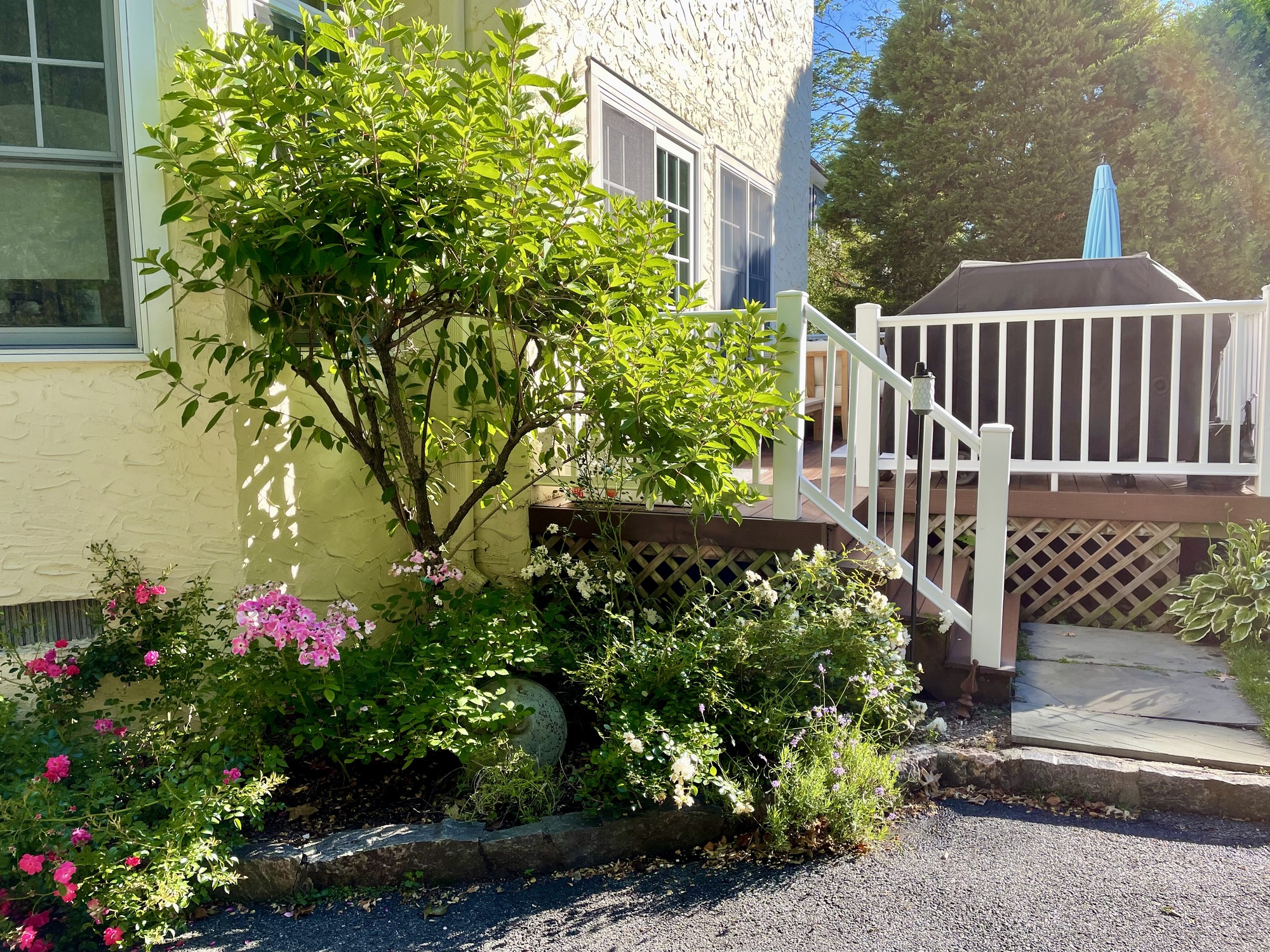 A Beautiful Backyard Designed for Kid and Adult Fun - Photo 6