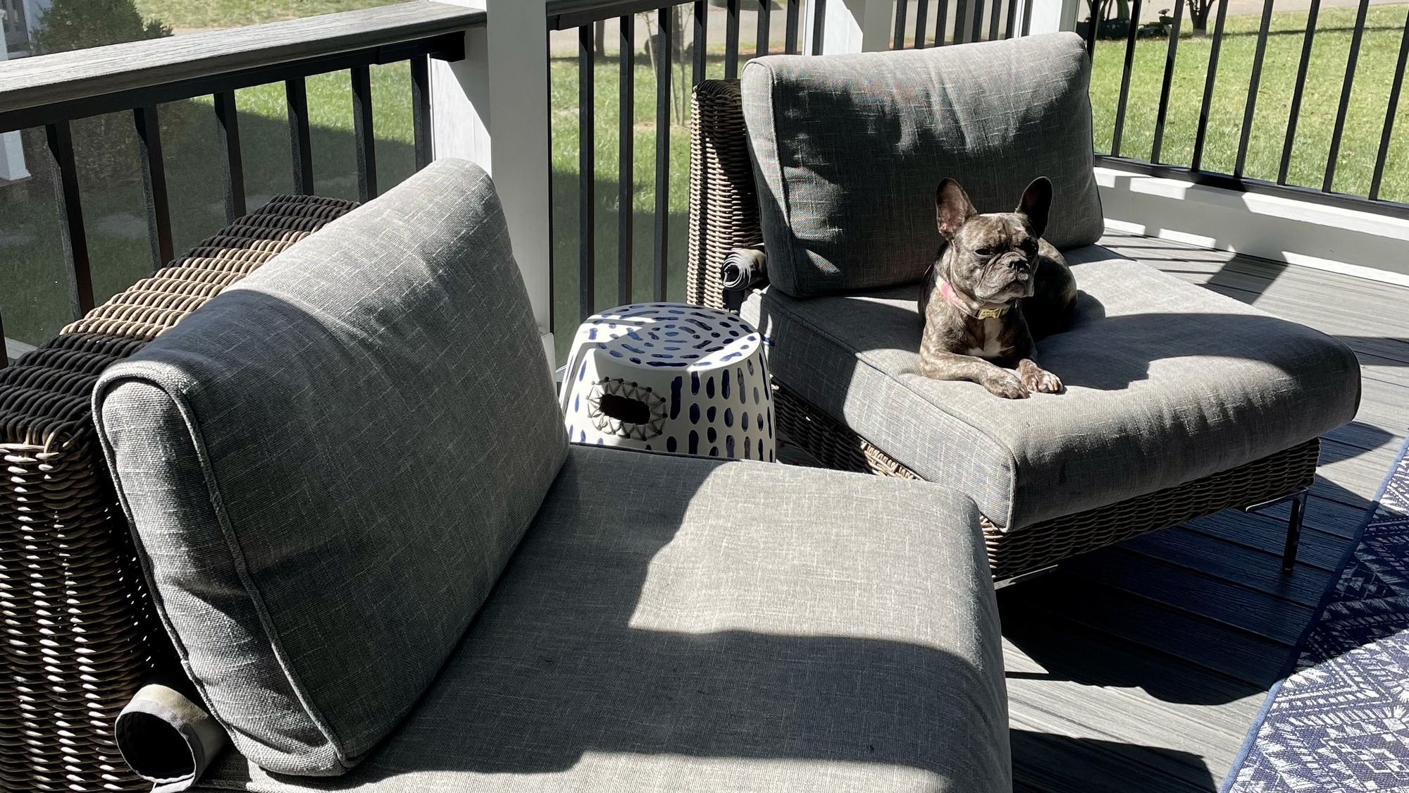 Screened Back Porch with Mountain View in Crozet, VA - Photo 3