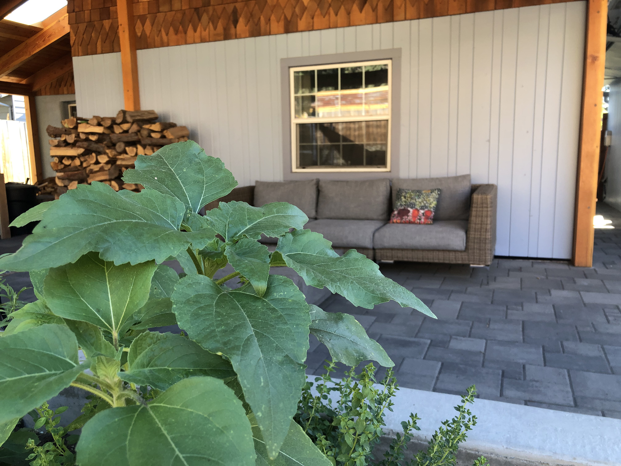 A Rustic Sanctuary, Garden, and Greenhouse in Bend, OR - Photo 8