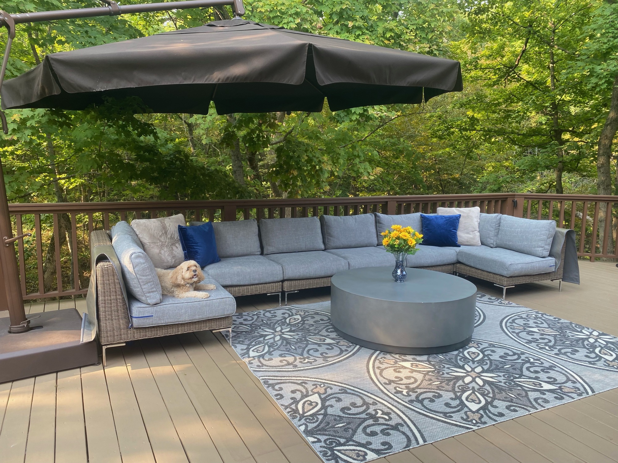 Expansive Deck in Illinois - Photo 1
