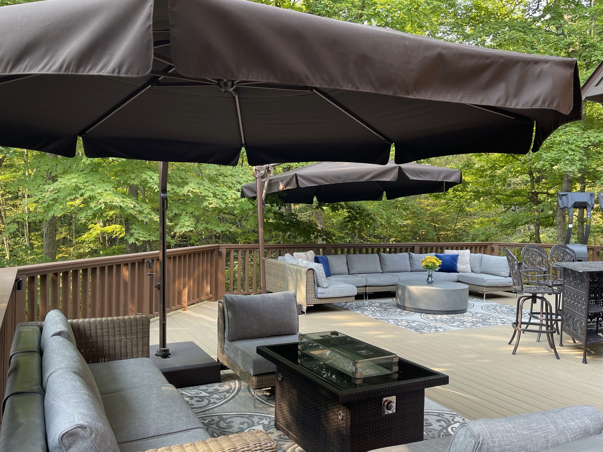 Expansive Deck in Illinois - Photo 2