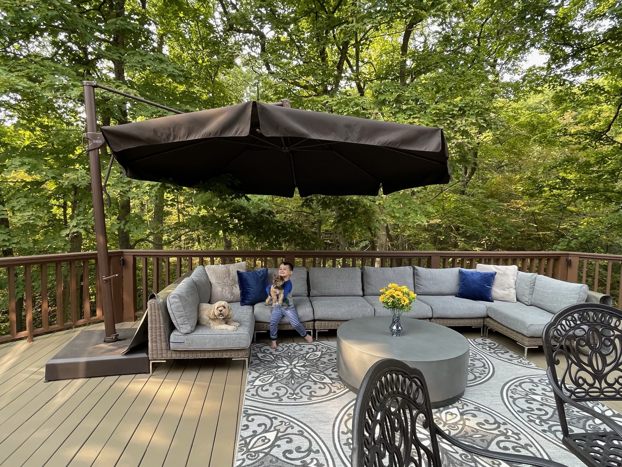 Expansive Deck in Illinois - Photo 4