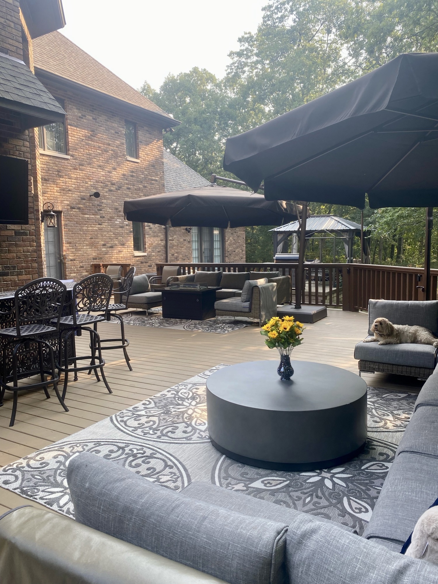 Expansive Deck in Illinois - Photo 5