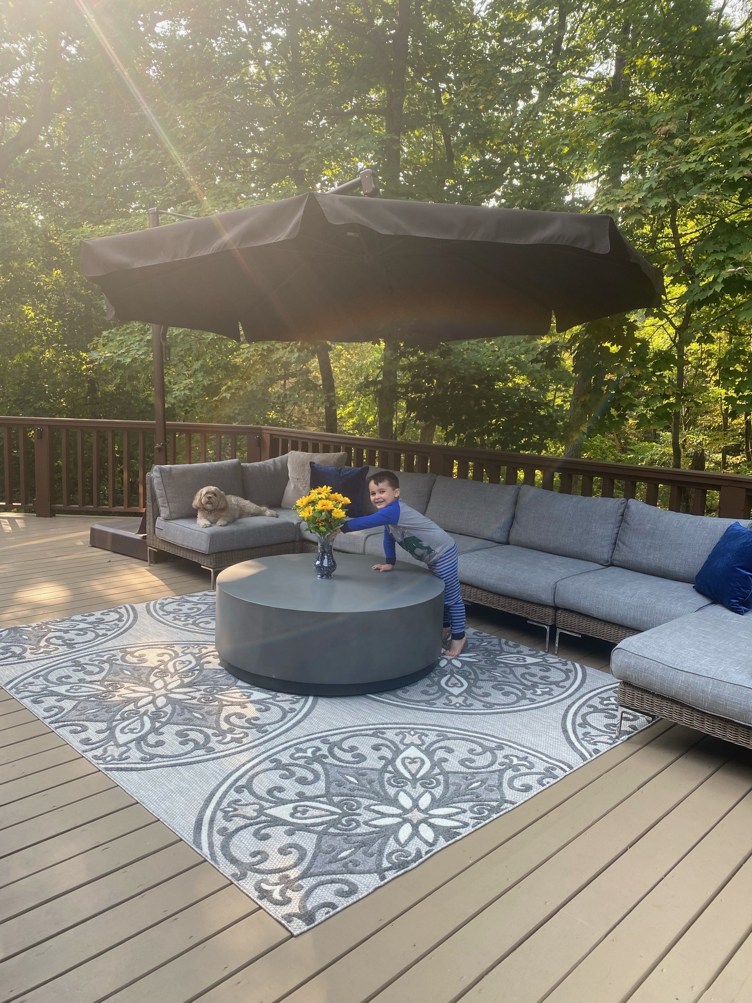 Expansive Deck in Illinois - Photo 6