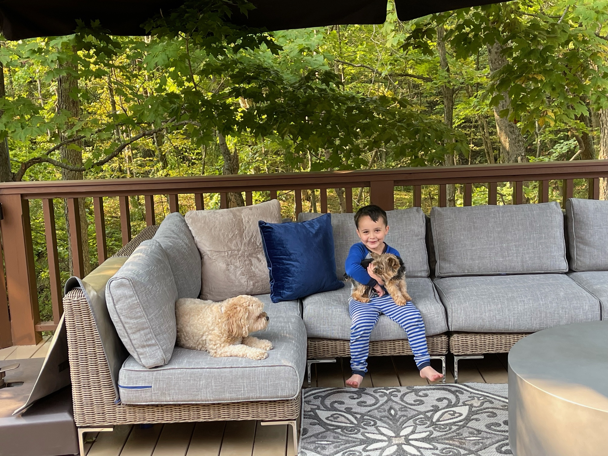 Expansive Deck in Illinois - Photo 7