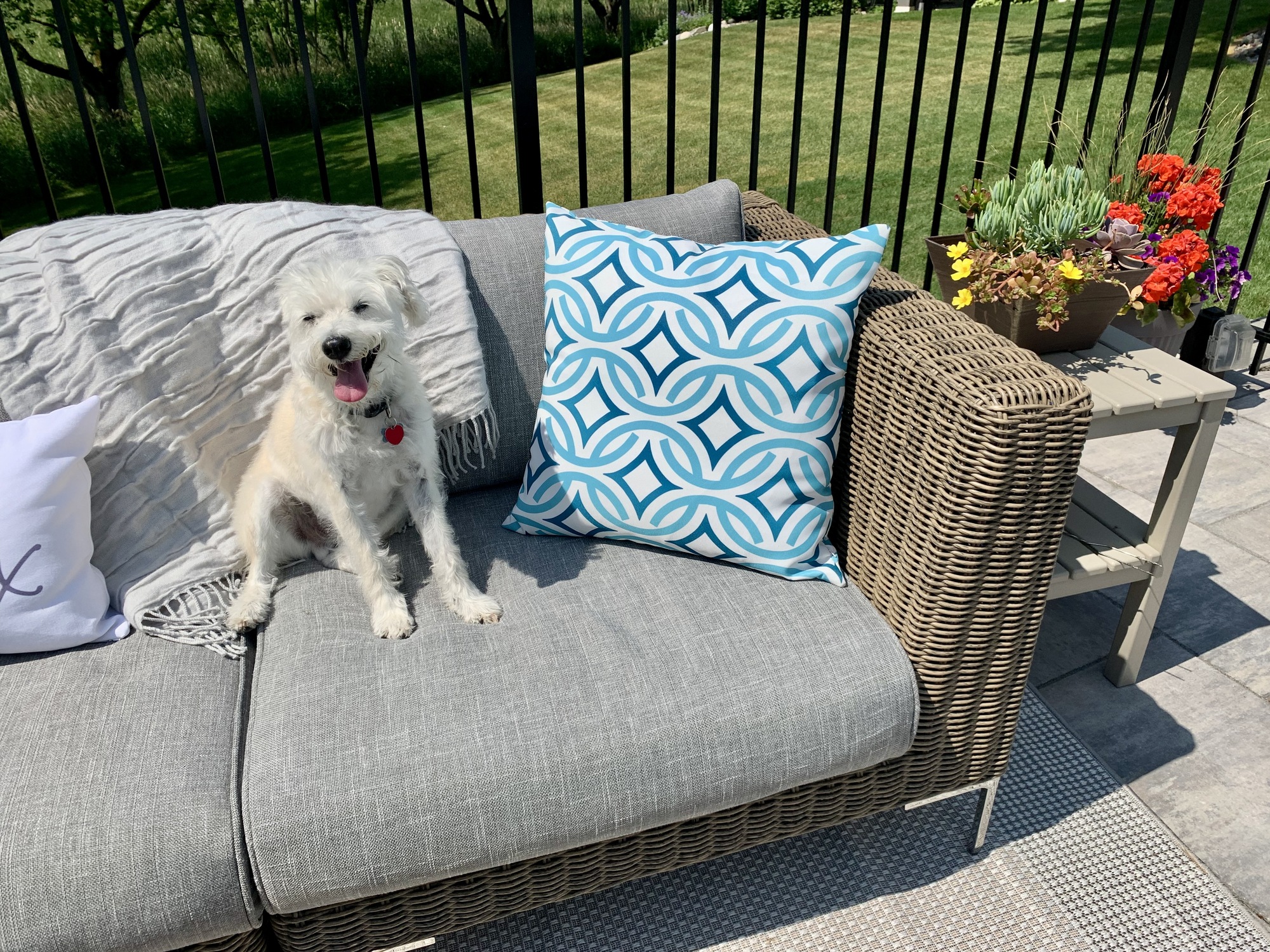 Versatile Backyard Patio in Minnesota - Photo 3