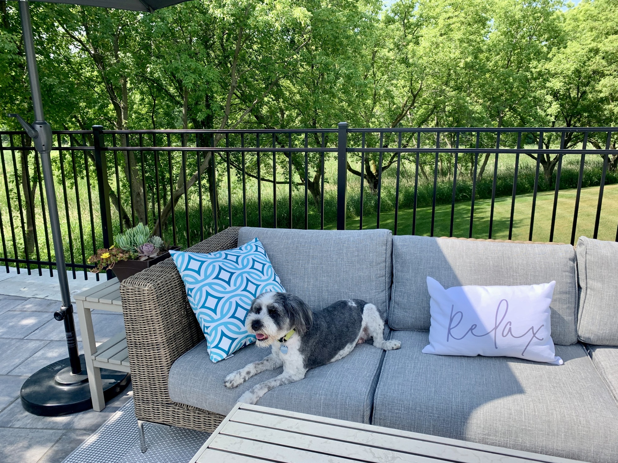 Versatile Backyard Patio in Minnesota - Photo 7