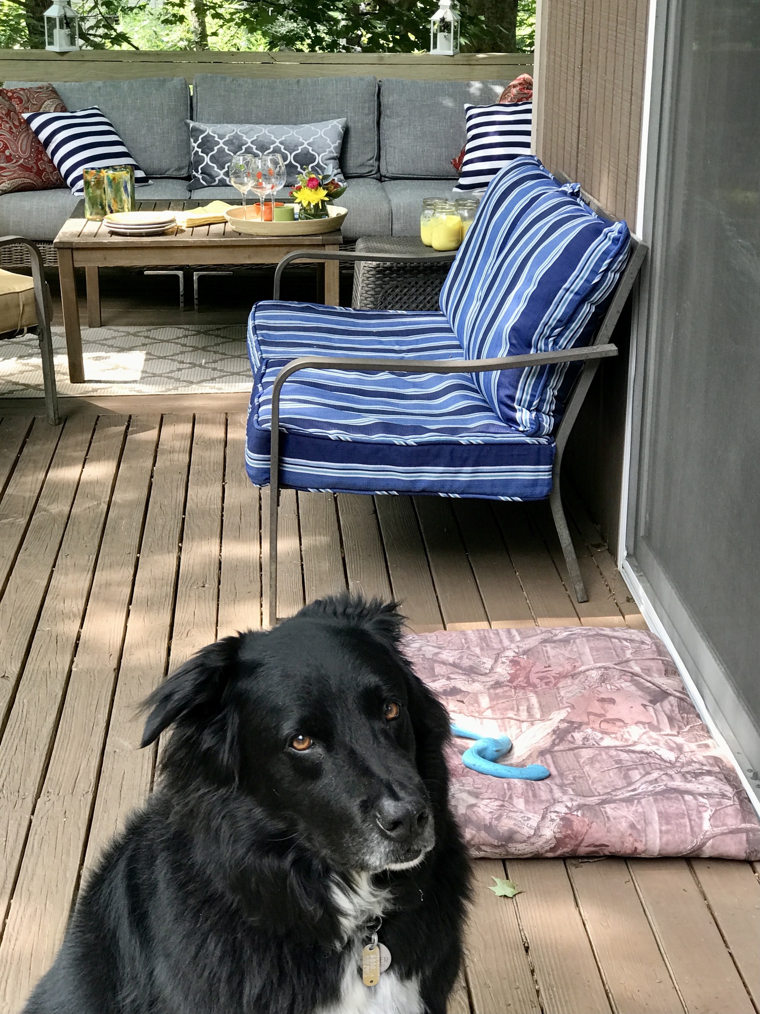 Bohemian Deck in Chapel Hill, NC - Photo 7