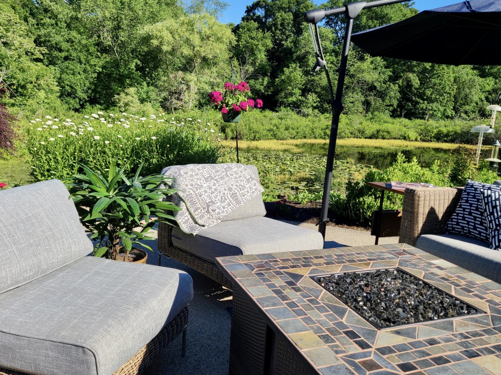 A Family’s Pond-Side Backyard Teeming with Wildlife - Photo 6