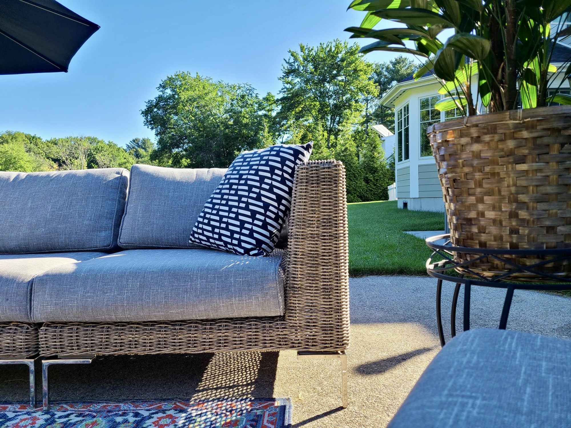 A Family’s Pond-Side Backyard Teeming with Wildlife - Photo 7