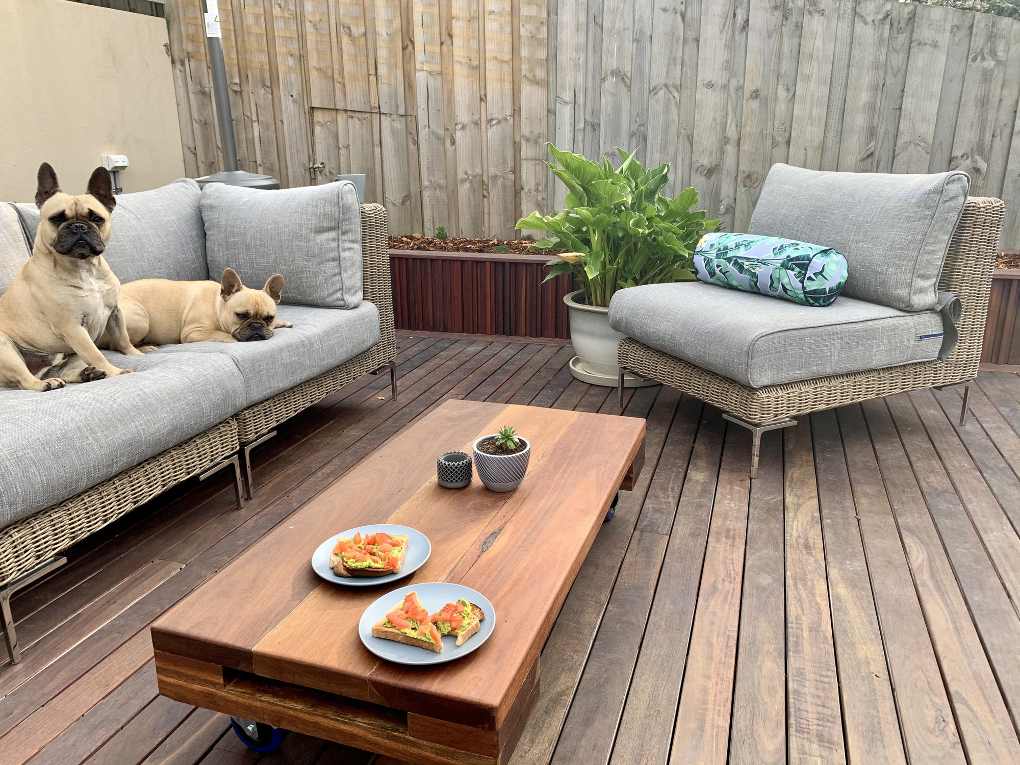 A Growing Family’s Contemporary Backyard Deck in Hobart, Tasmania - Photo 3