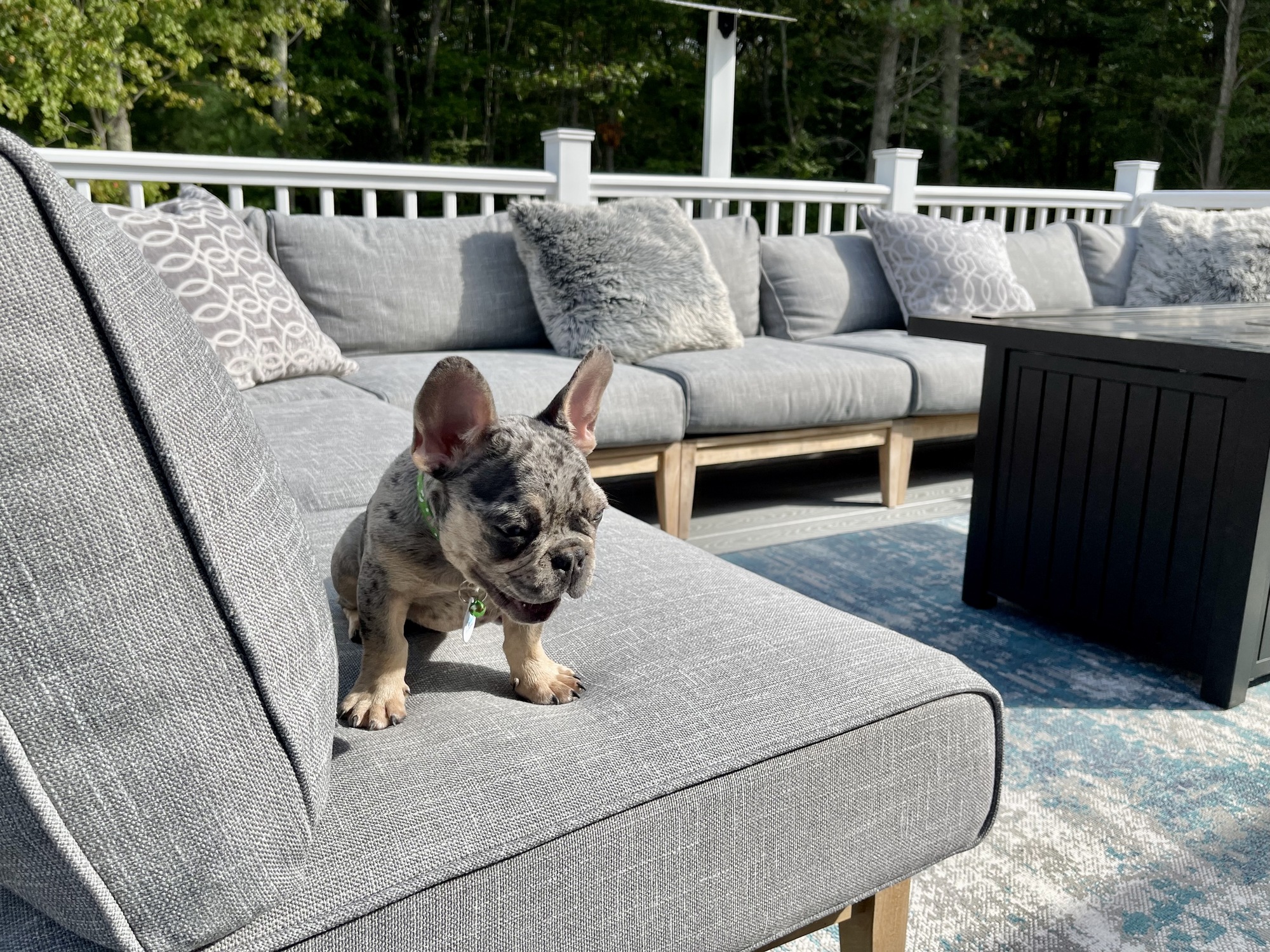 A Drummer Dad’s Multi-Level Outdoor Deck & Stage - Photo 4