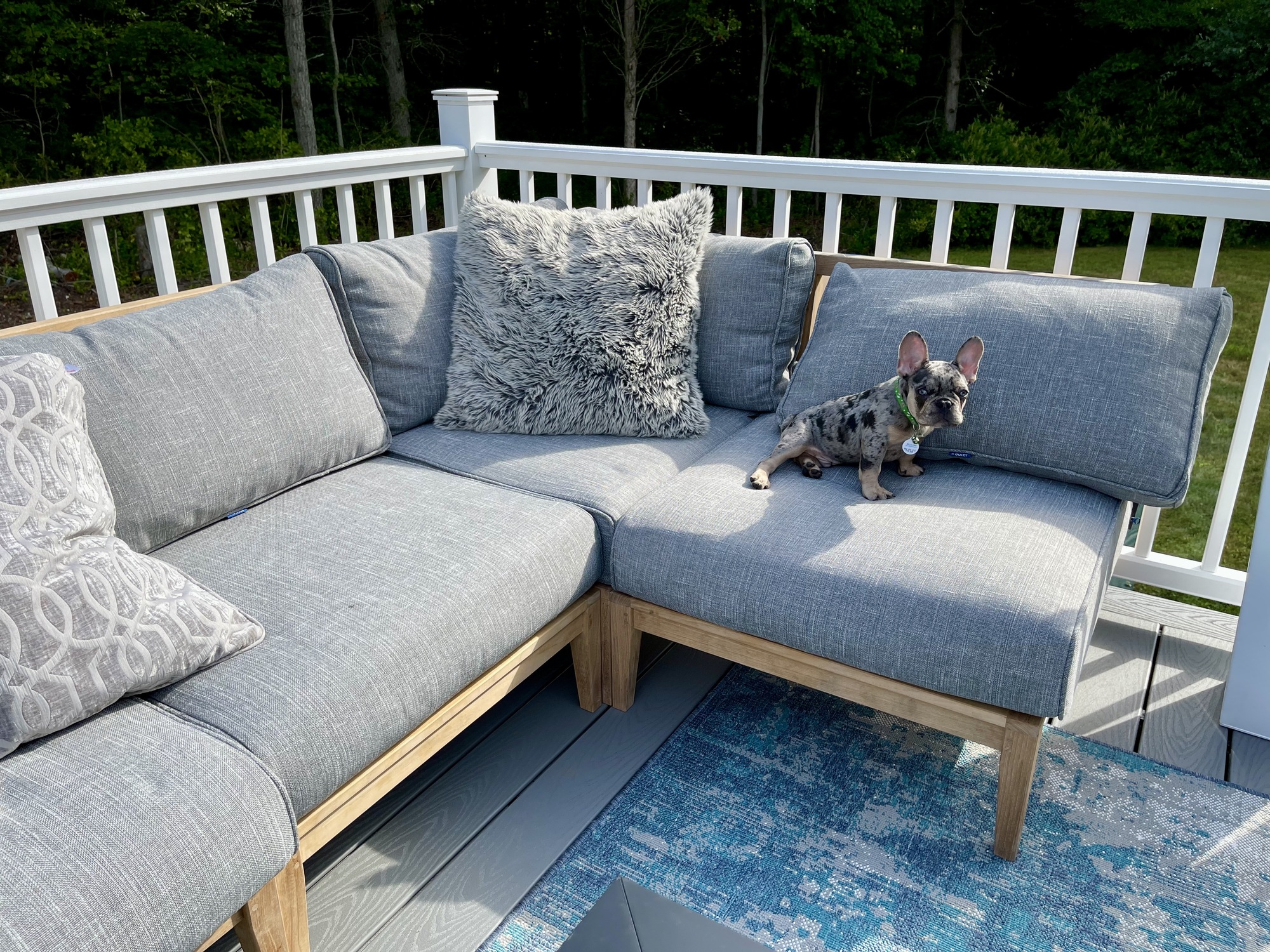 A Drummer Dad’s Multi-Level Outdoor Deck & Stage - Photo 5