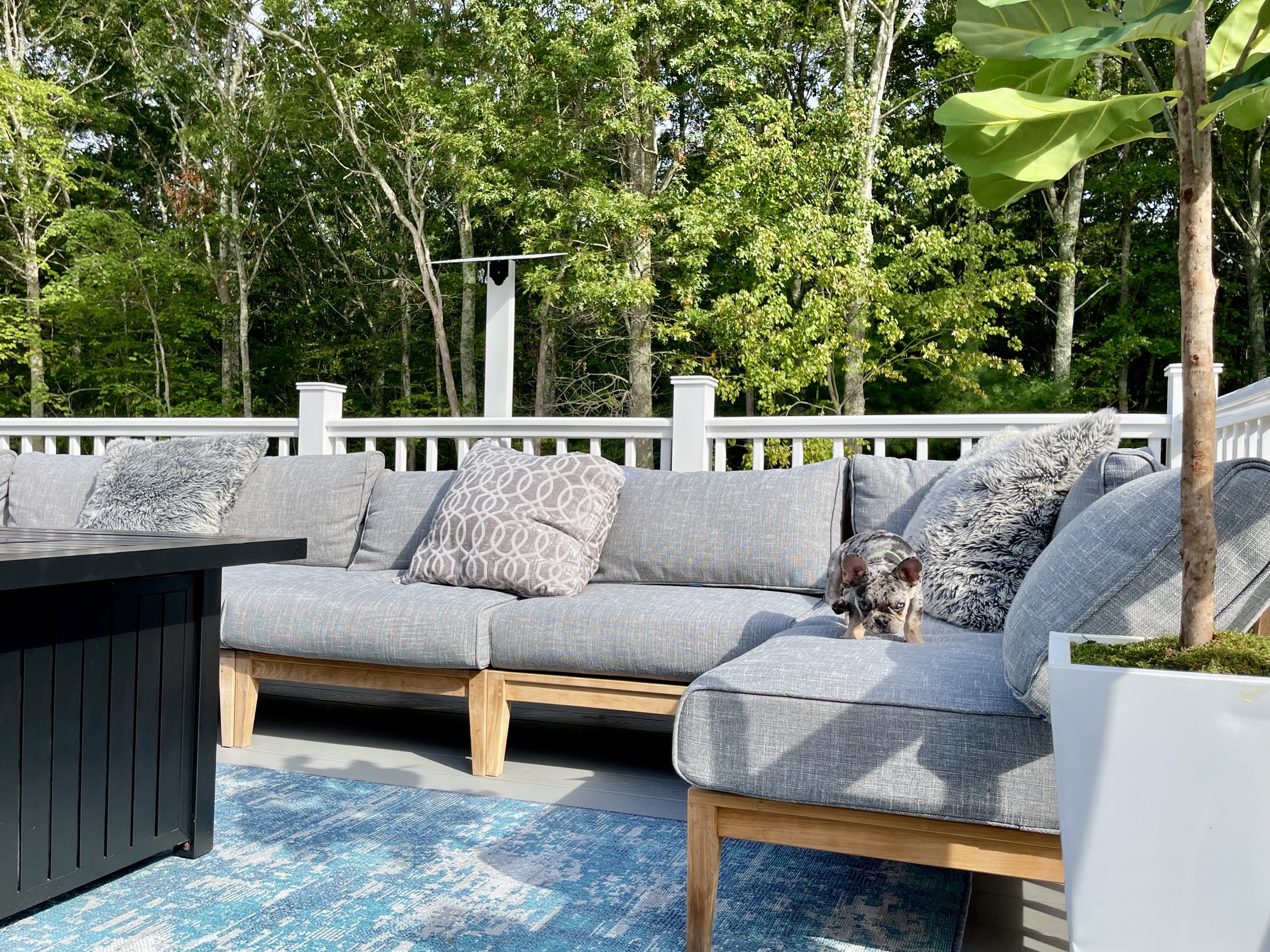 A Drummer Dad’s Multi-Level Outdoor Deck & Stage - Photo 6