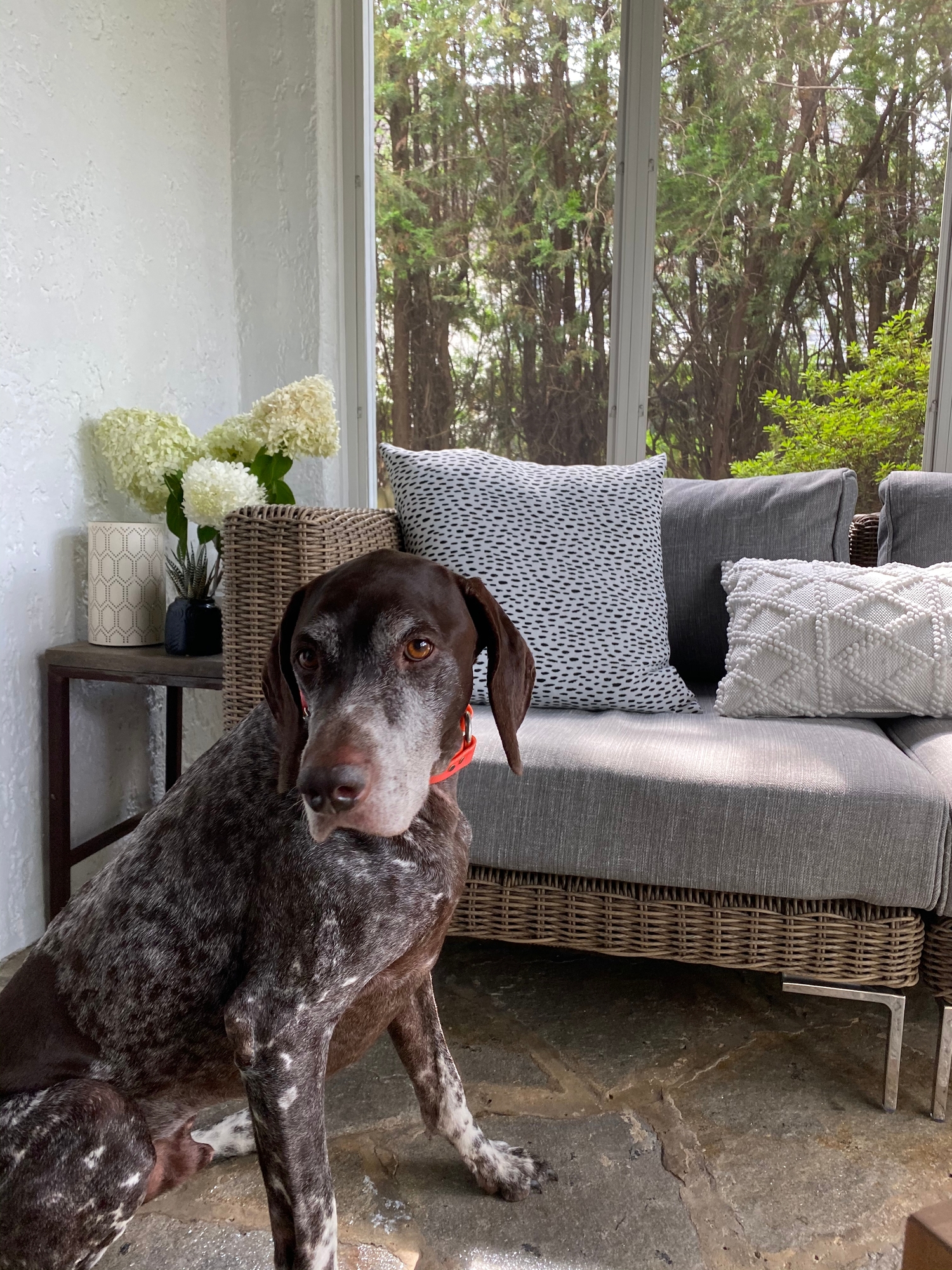 An Inviting Indoor-Outdoor Screened-In Porch - Photo 6