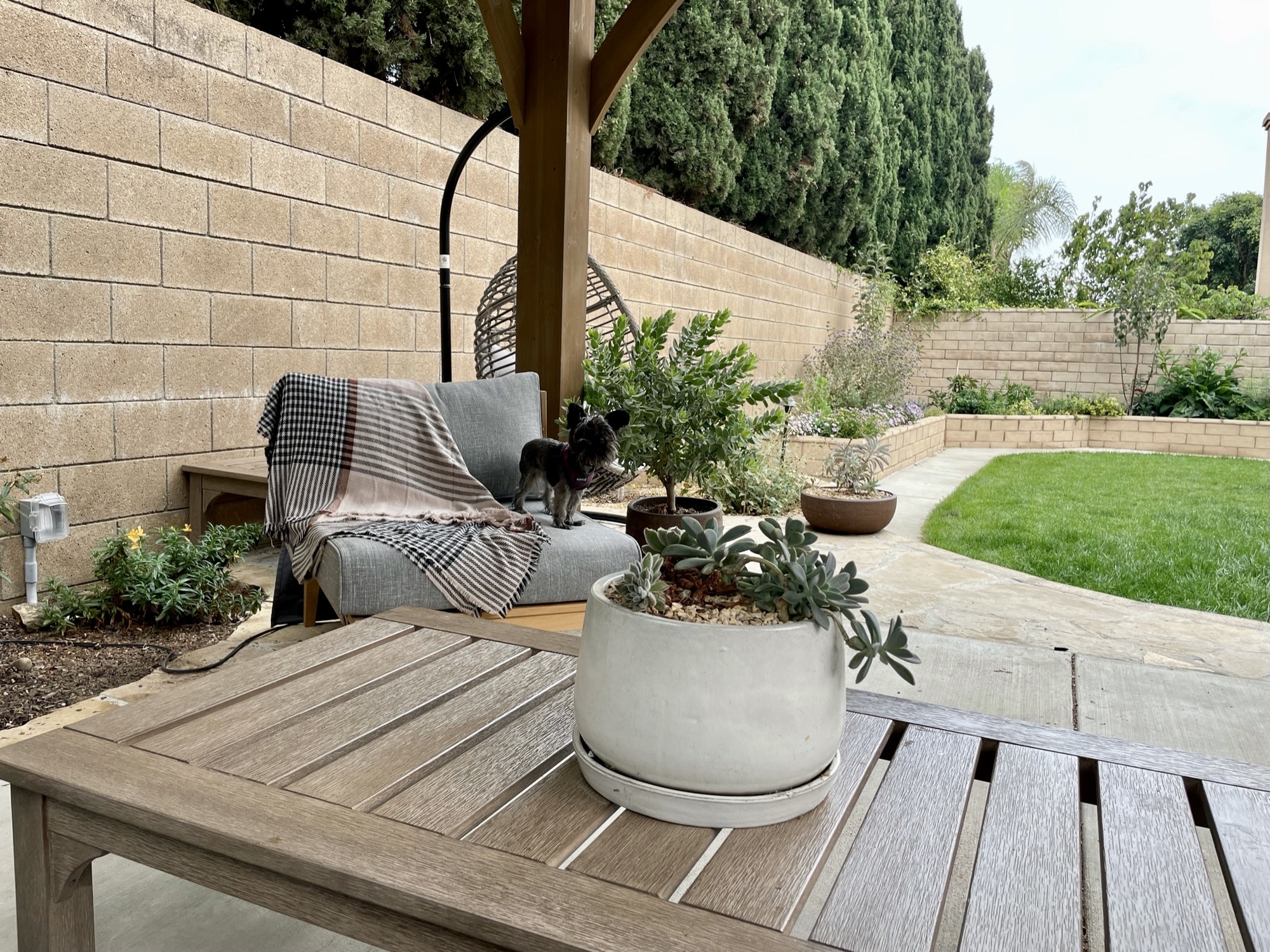 An Active California Backyard for All Seasons - Photo 5