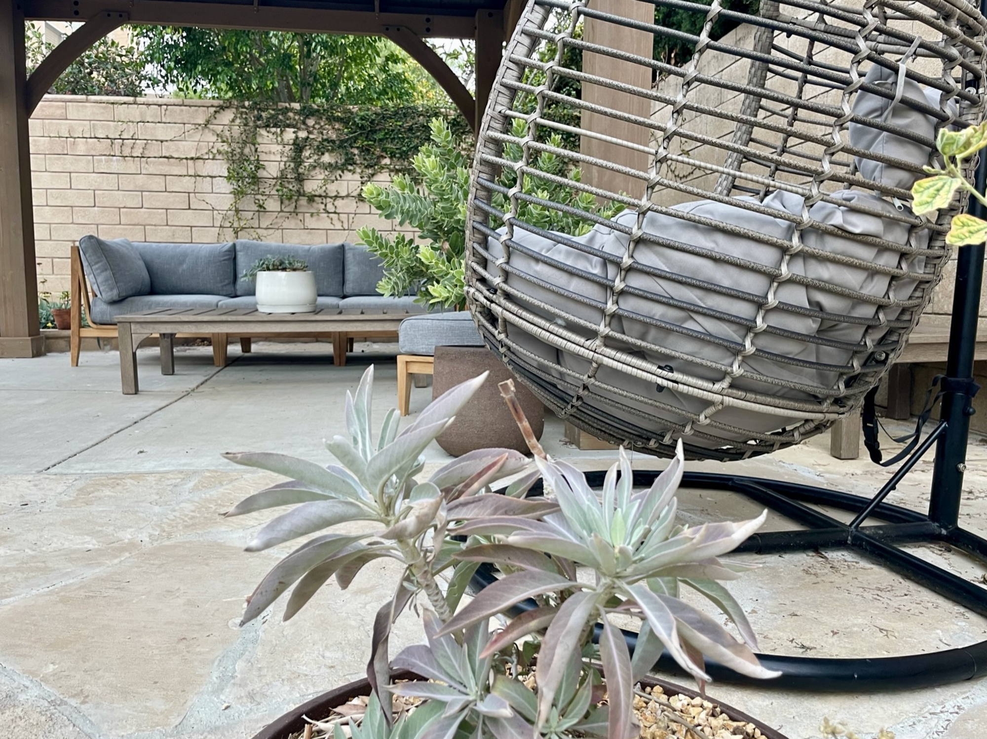 An Active California Backyard for All Seasons - Photo 6