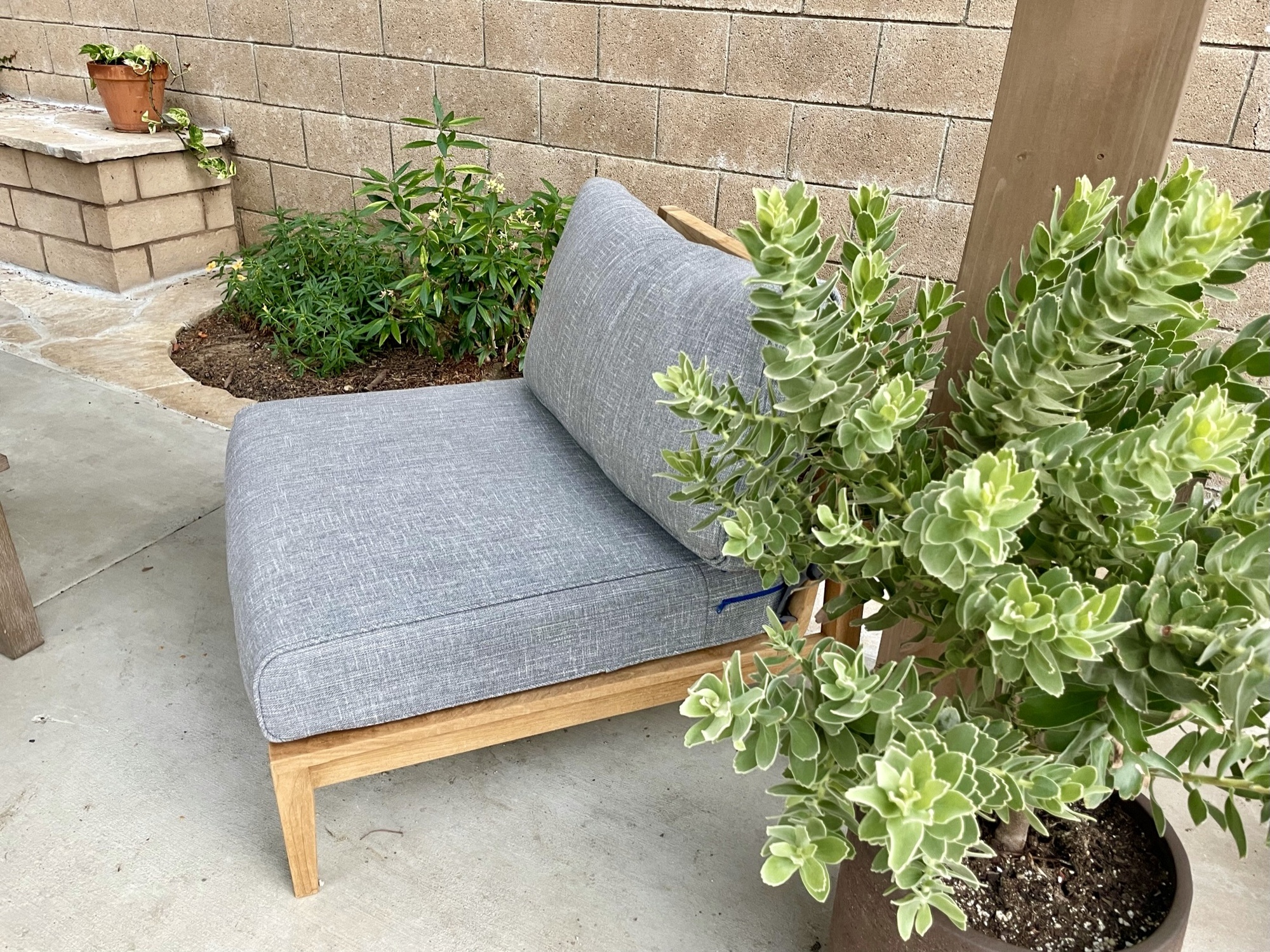 An Active California Backyard for All Seasons - Photo 7