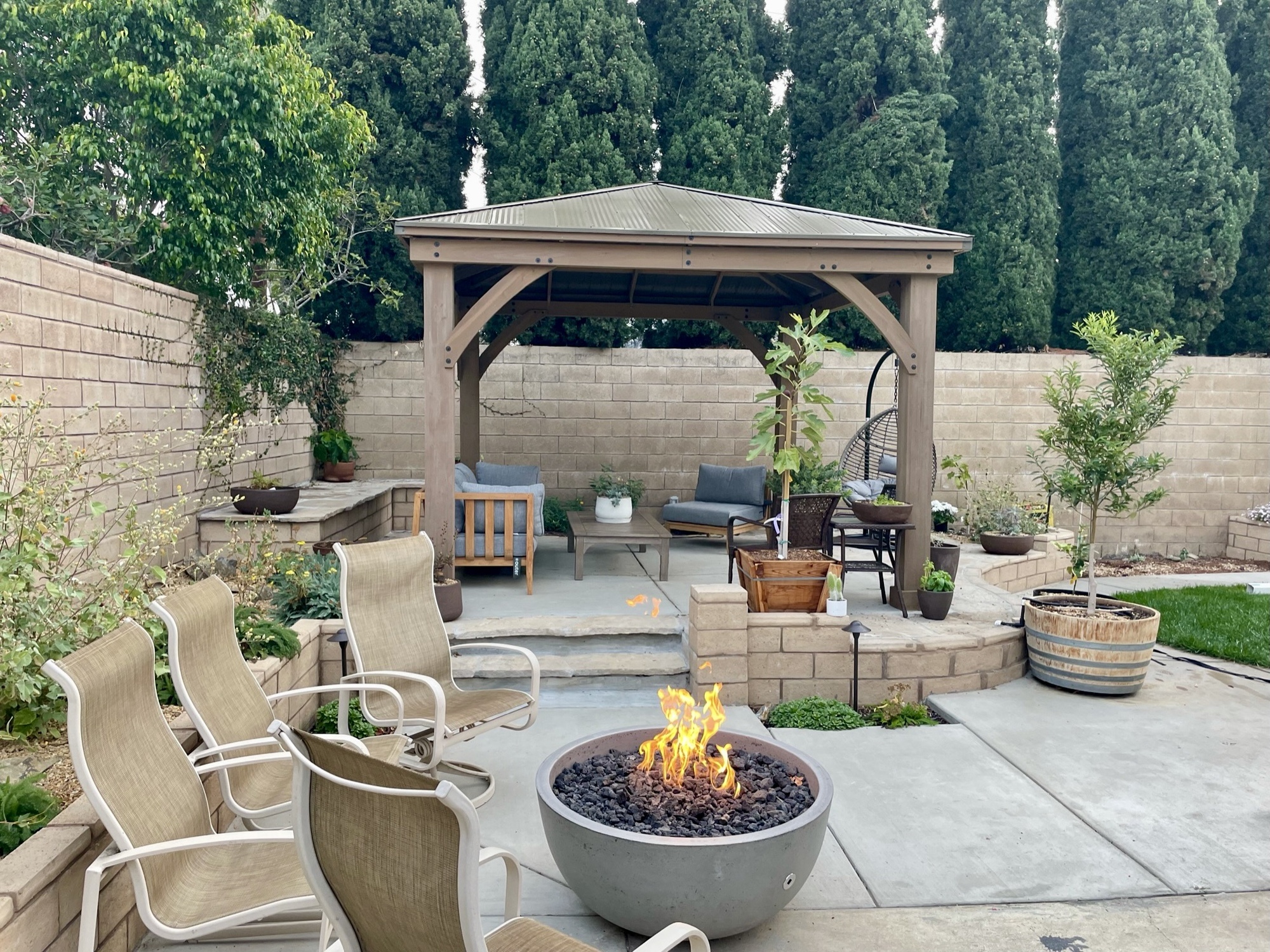 An Active California Backyard for All Seasons - Photo 8