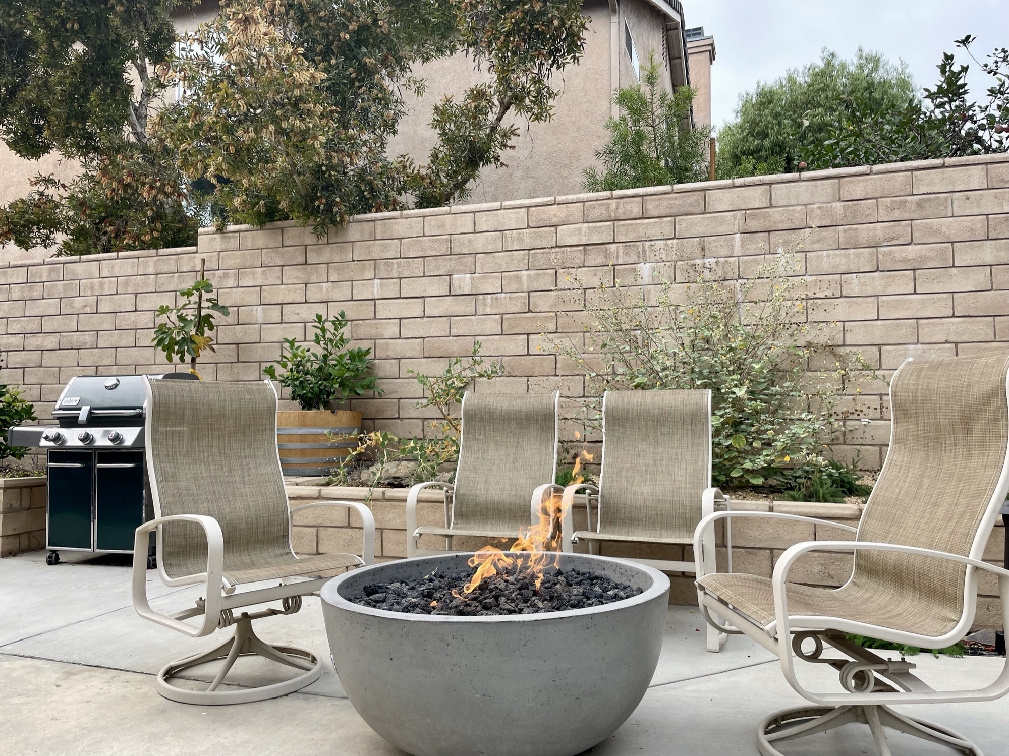 An Active California Backyard for All Seasons - Photo 11