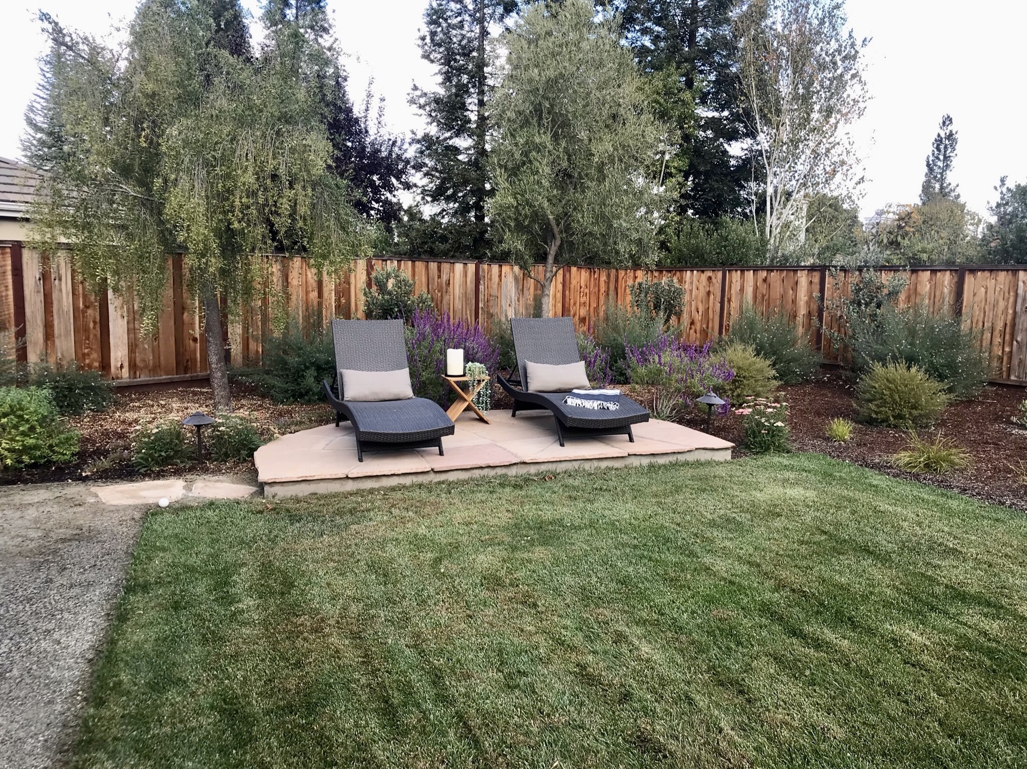 A Pleasanton Paradise - Photo 6