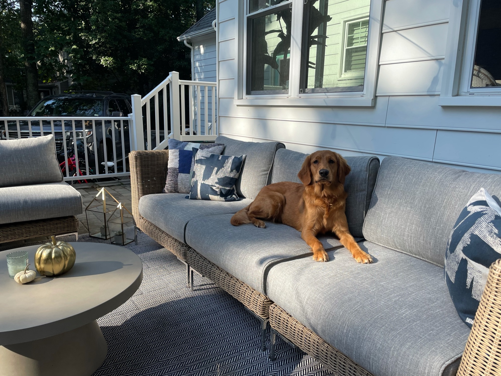 Twilight Ambiance in Beautiful Virginia - Photo 5